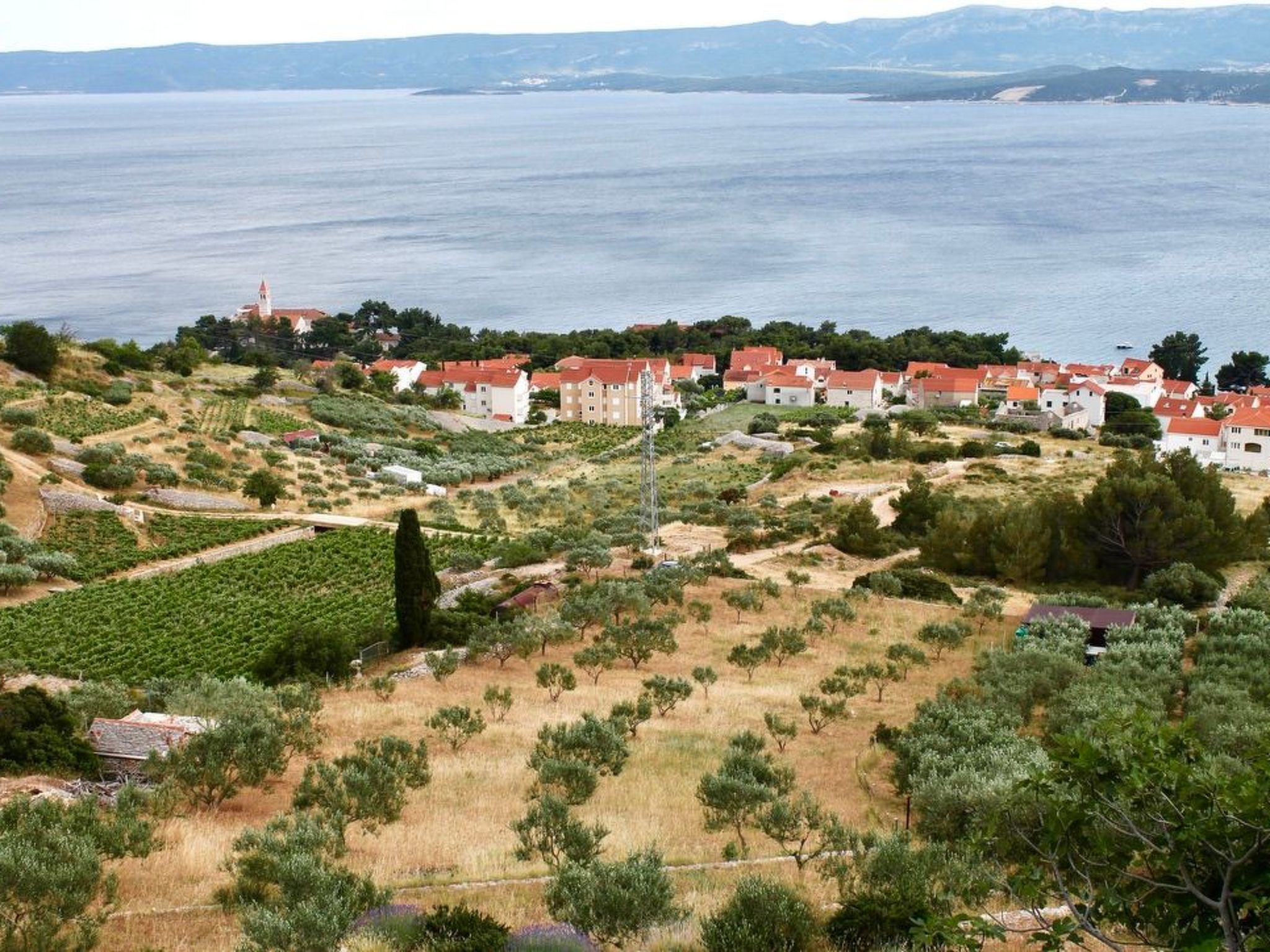 Wohnung in Bol-Binnen