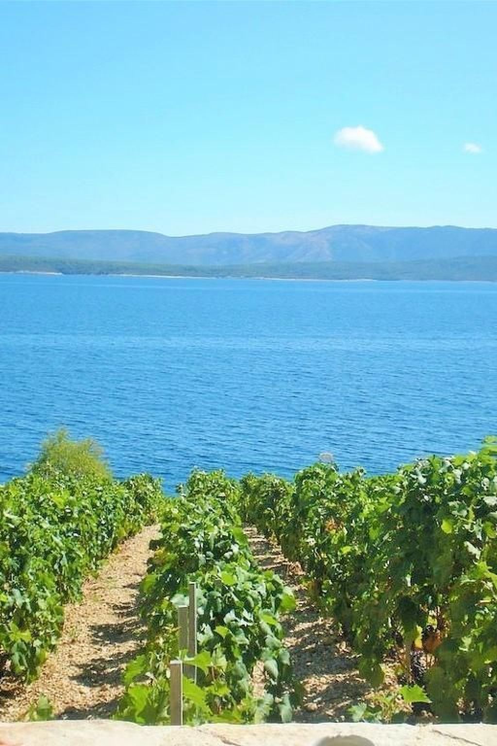 "Paradise Beach Retreat"-Dehors