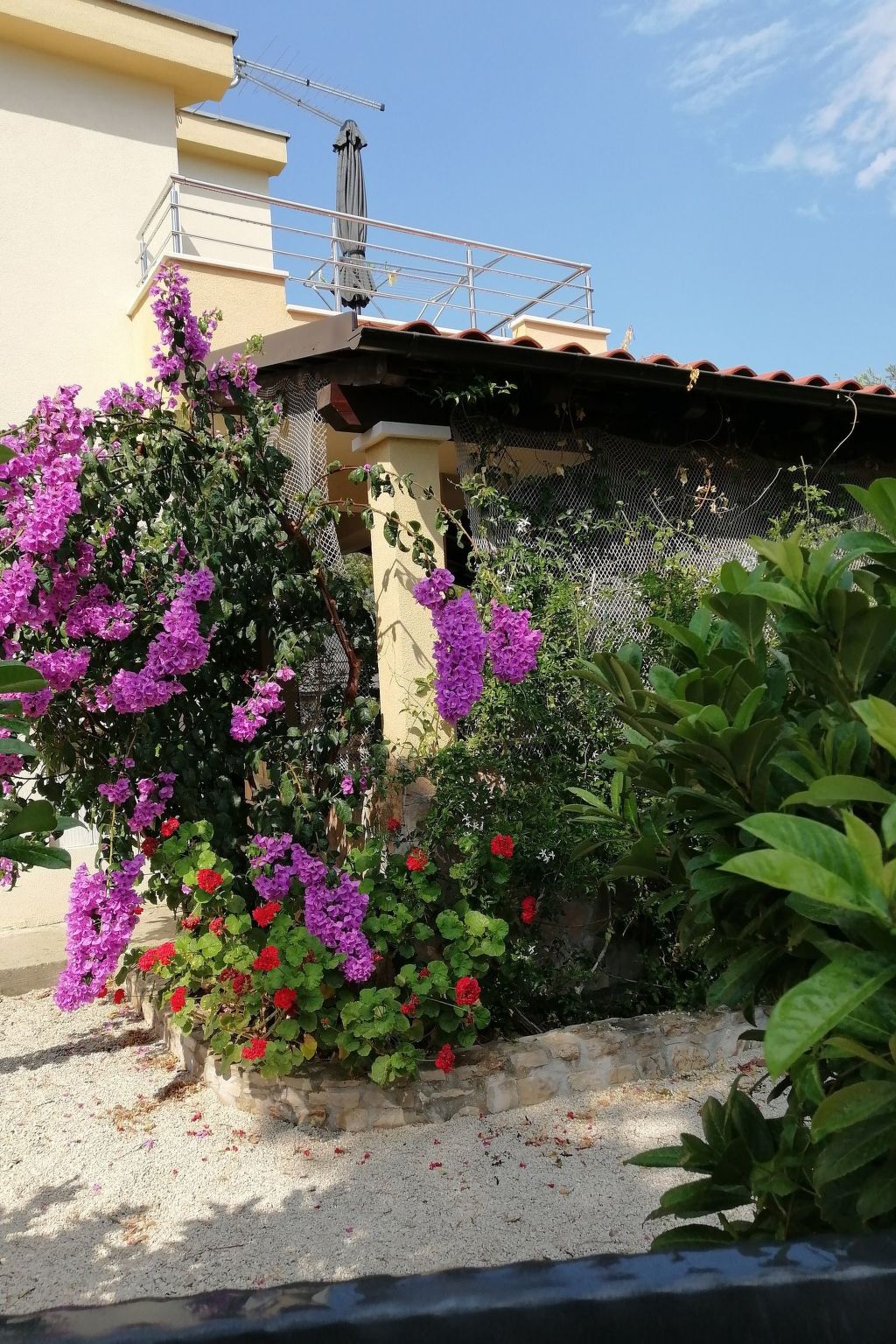 "Lile" mit Blick auf das Wasser-Dedans