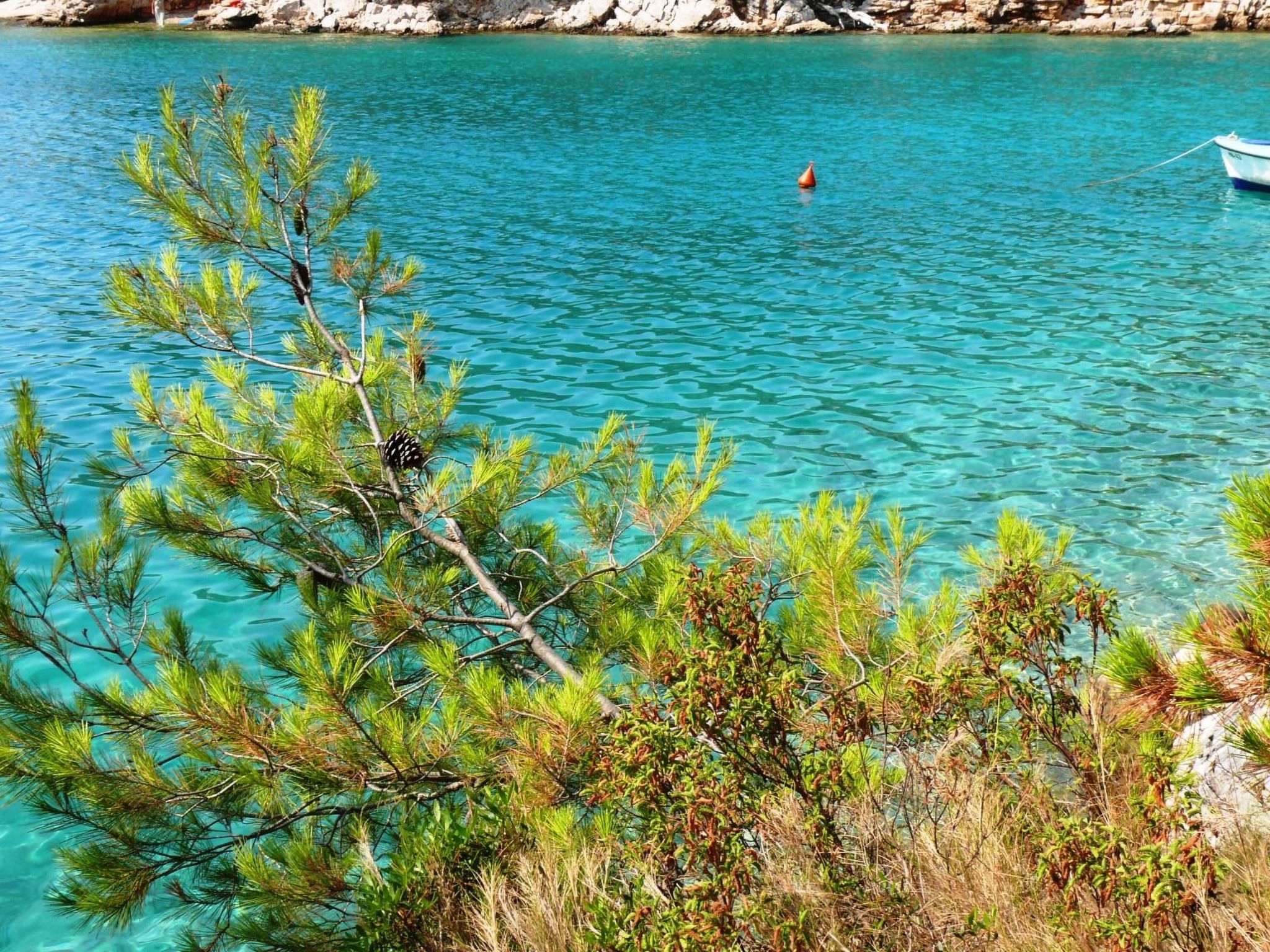 "Lile" mit Blick auf das Wasser-Dedans