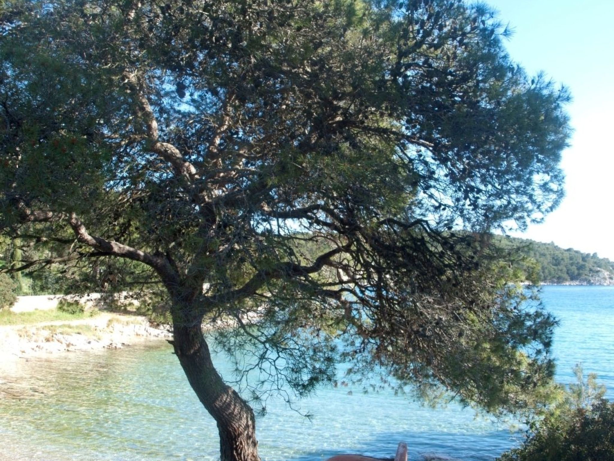 "Lile" mit Blick auf das Wasser-Dedans