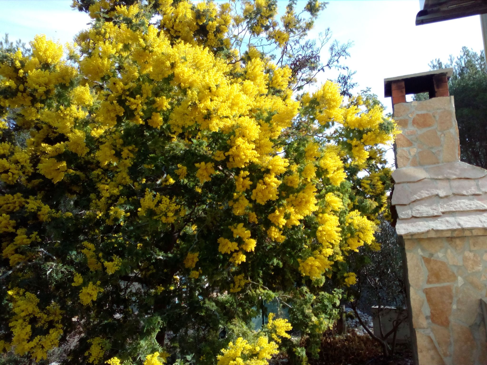 Für 4 Personen ca. 60 m² in Milna auf Brac, Adriaküste Kroatien (Kroatisch