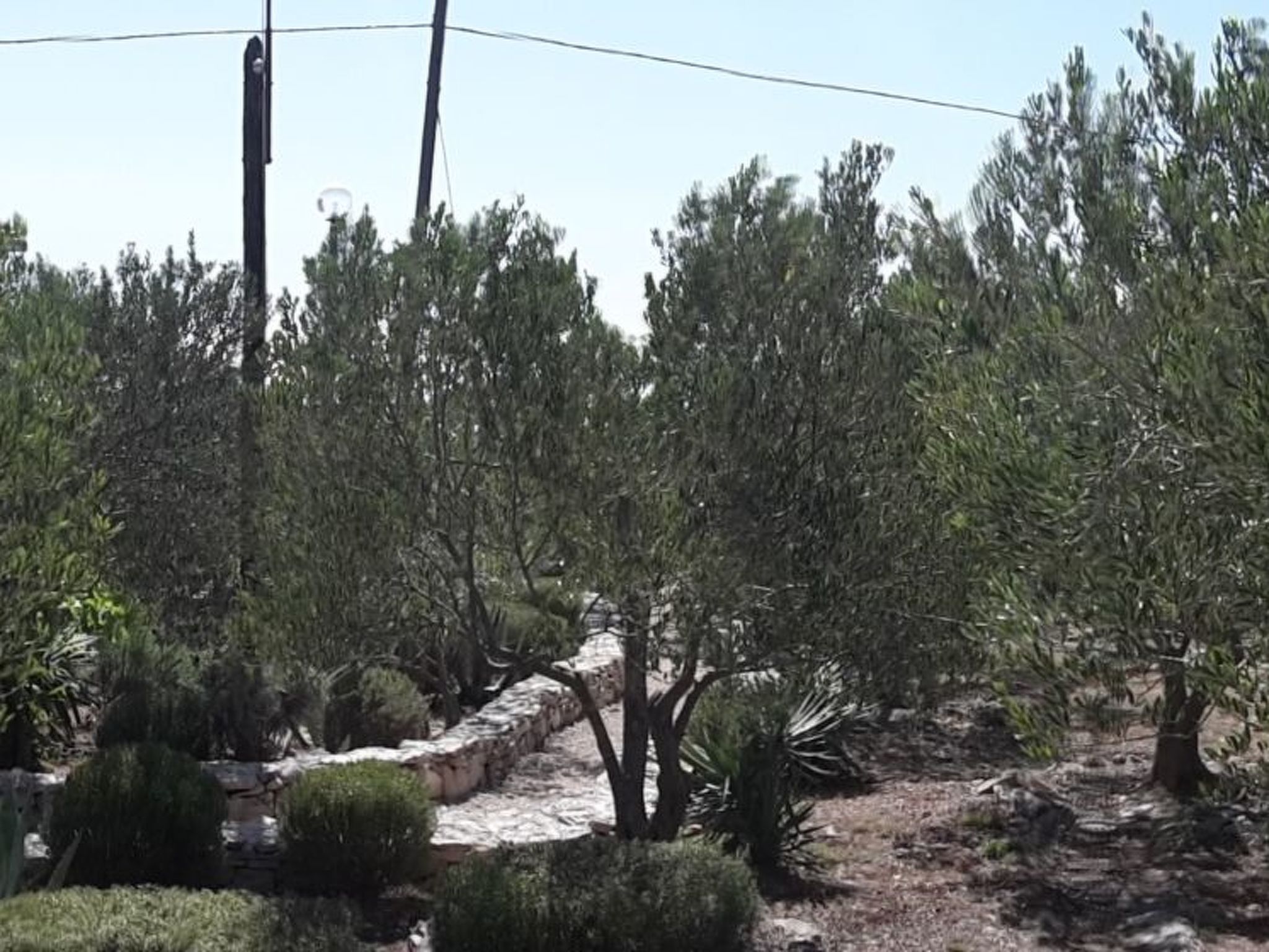 Für 4 Personen  + 6 Kinder ca. 144 m&sup2; in Milna auf Brac, Adriaküste Kroati-Image-tags.info