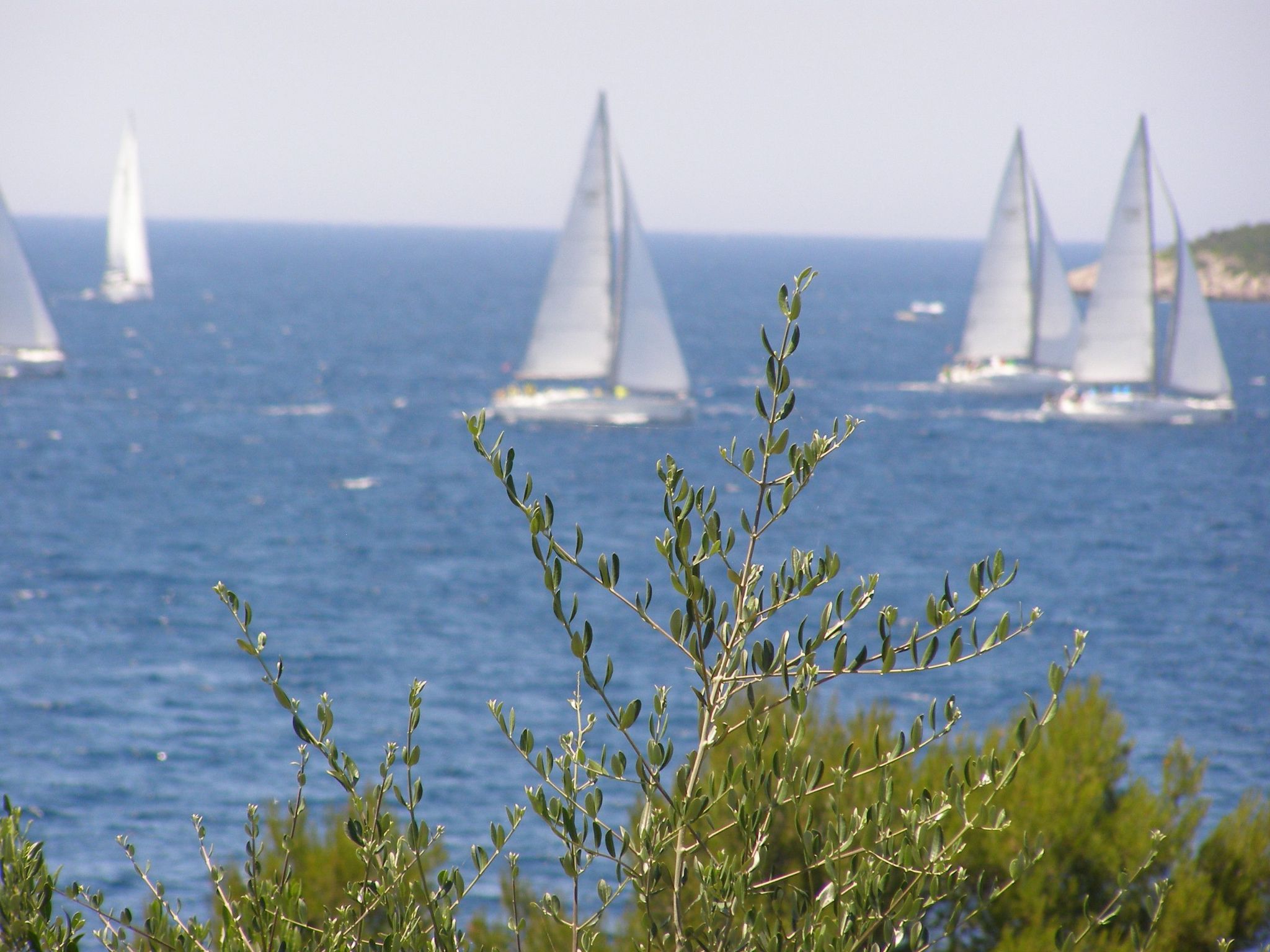 Für 4 Personen  + 6 Kinder ca. 144 m&sup2; in Milna auf Brac, Adriaküste Kroati-Image-tags.info