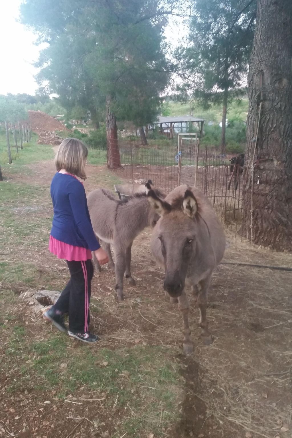 Charmantes Steinhaus mit Pool und Panoramablick-Binnen