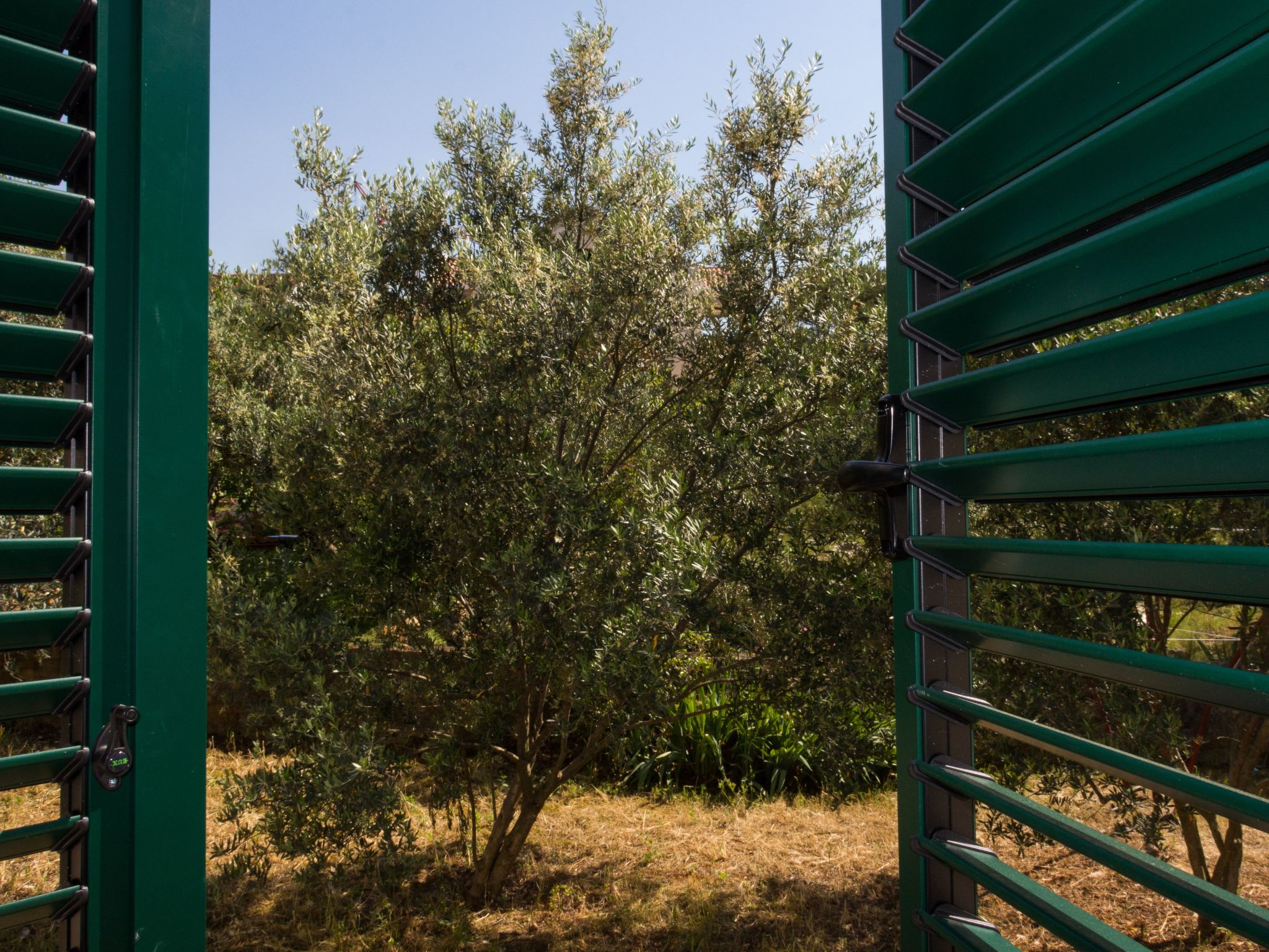 "Laurea" direkt am Strand-Image-tags.info