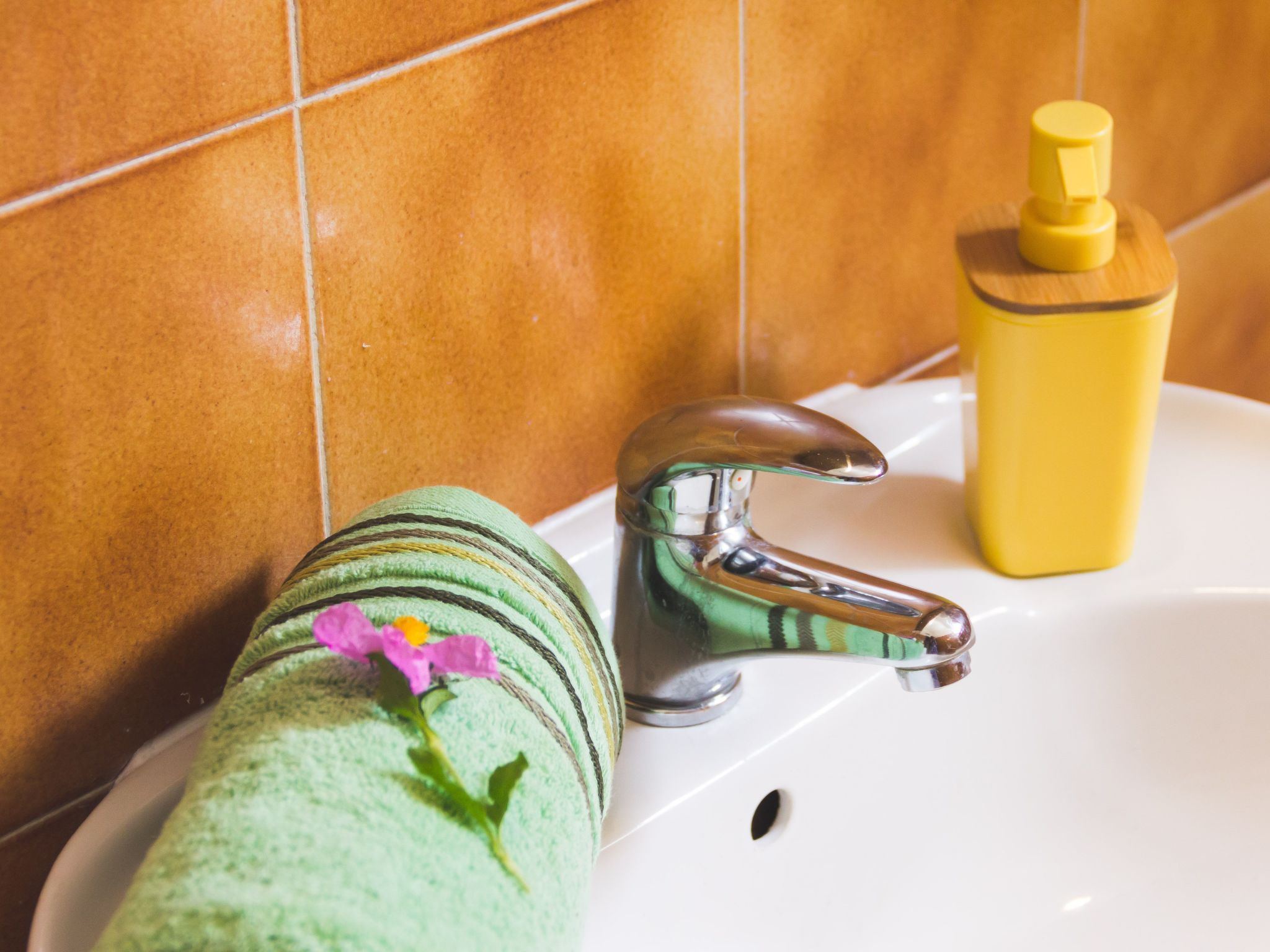 "Laurea" direkt am Strand-Image-tags.info