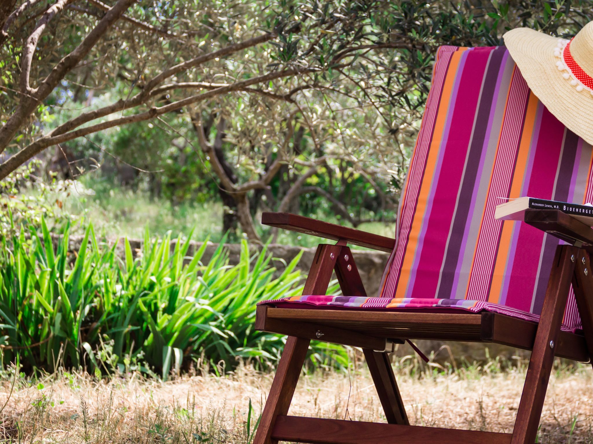 "Laurea" direkt am Strand-Image-tags.info