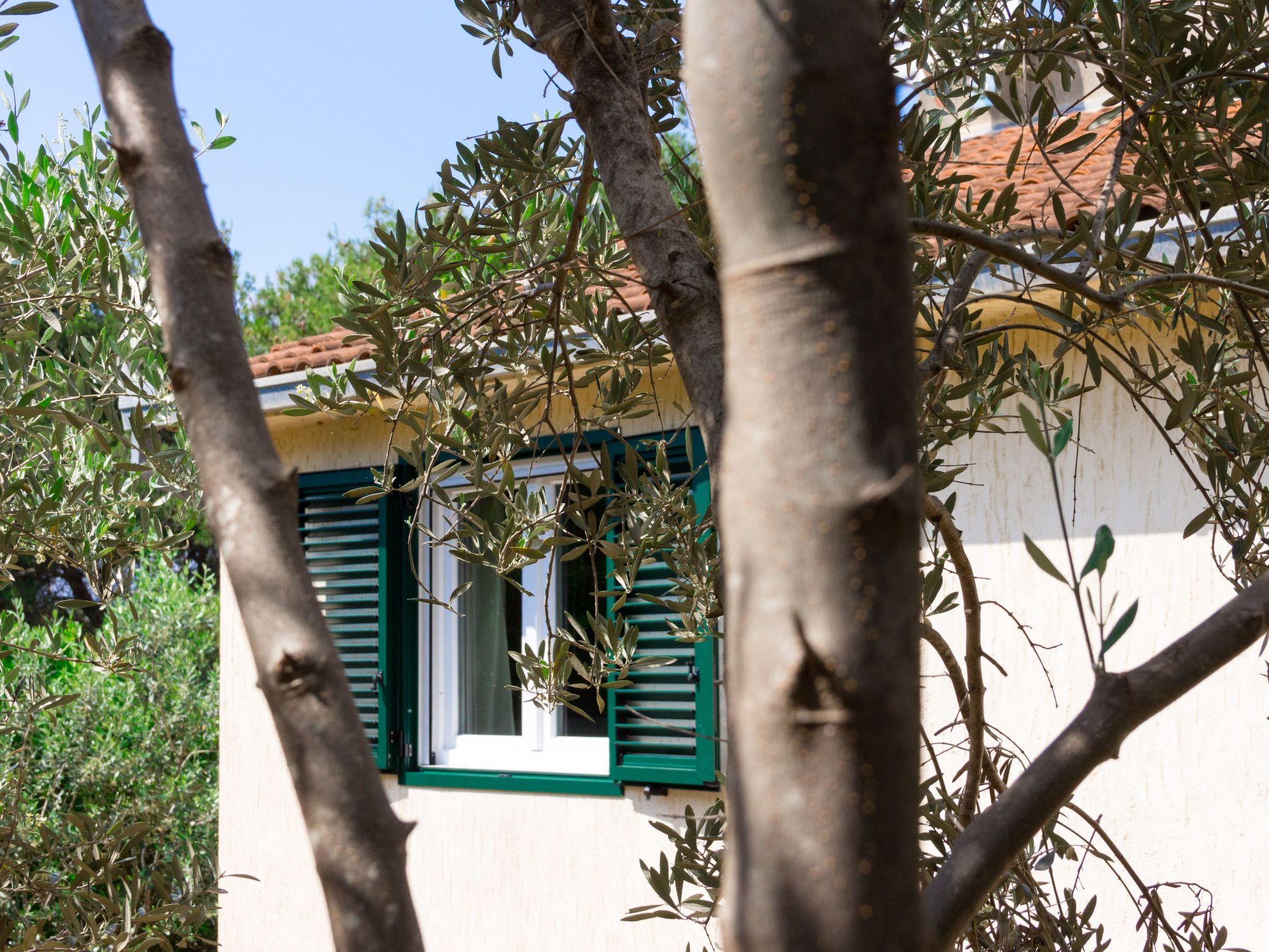 "Laurea" direkt am Strand-Image-tags.info