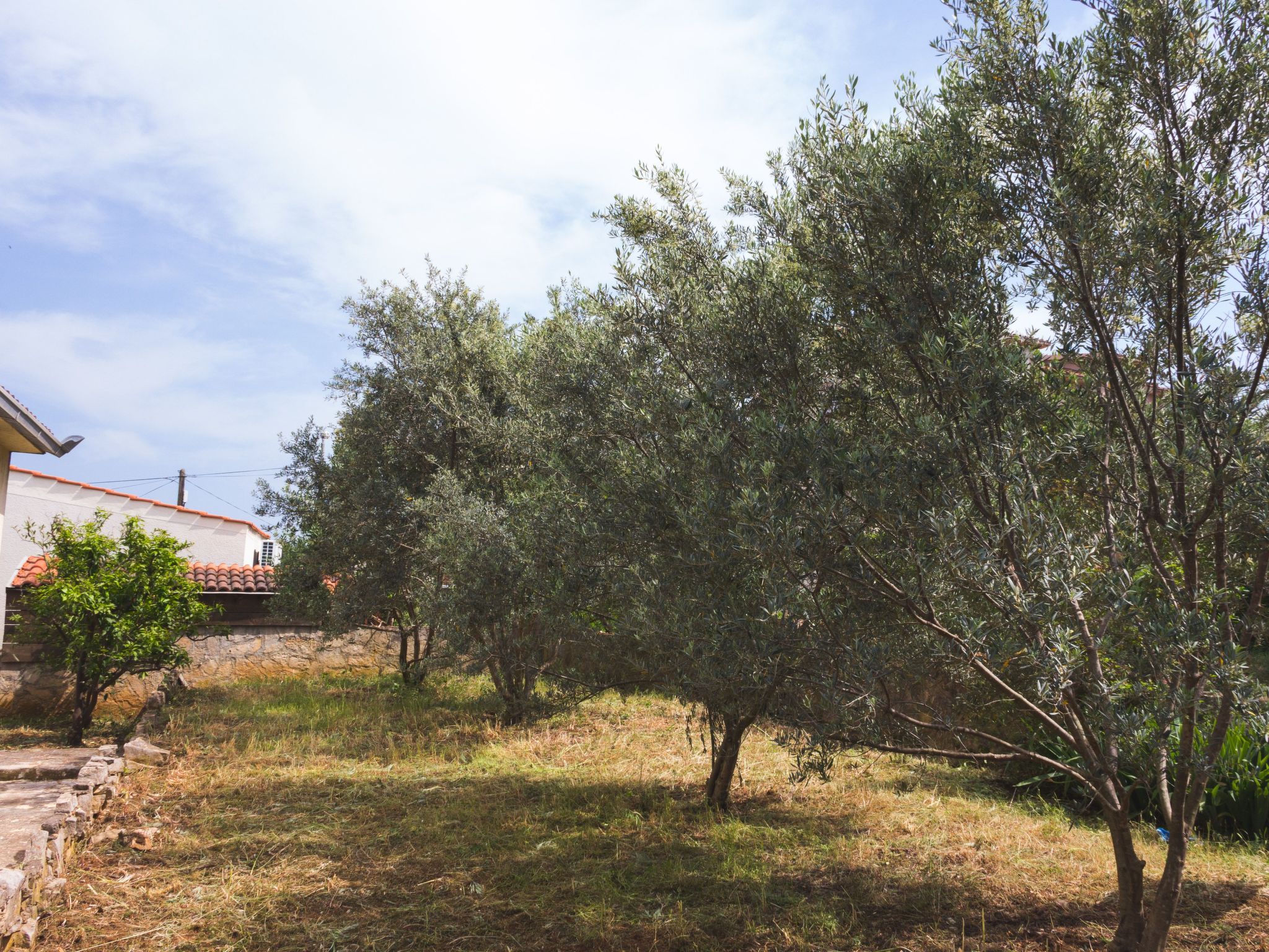 "Laurea" direkt am Strand-Image-tags.info
