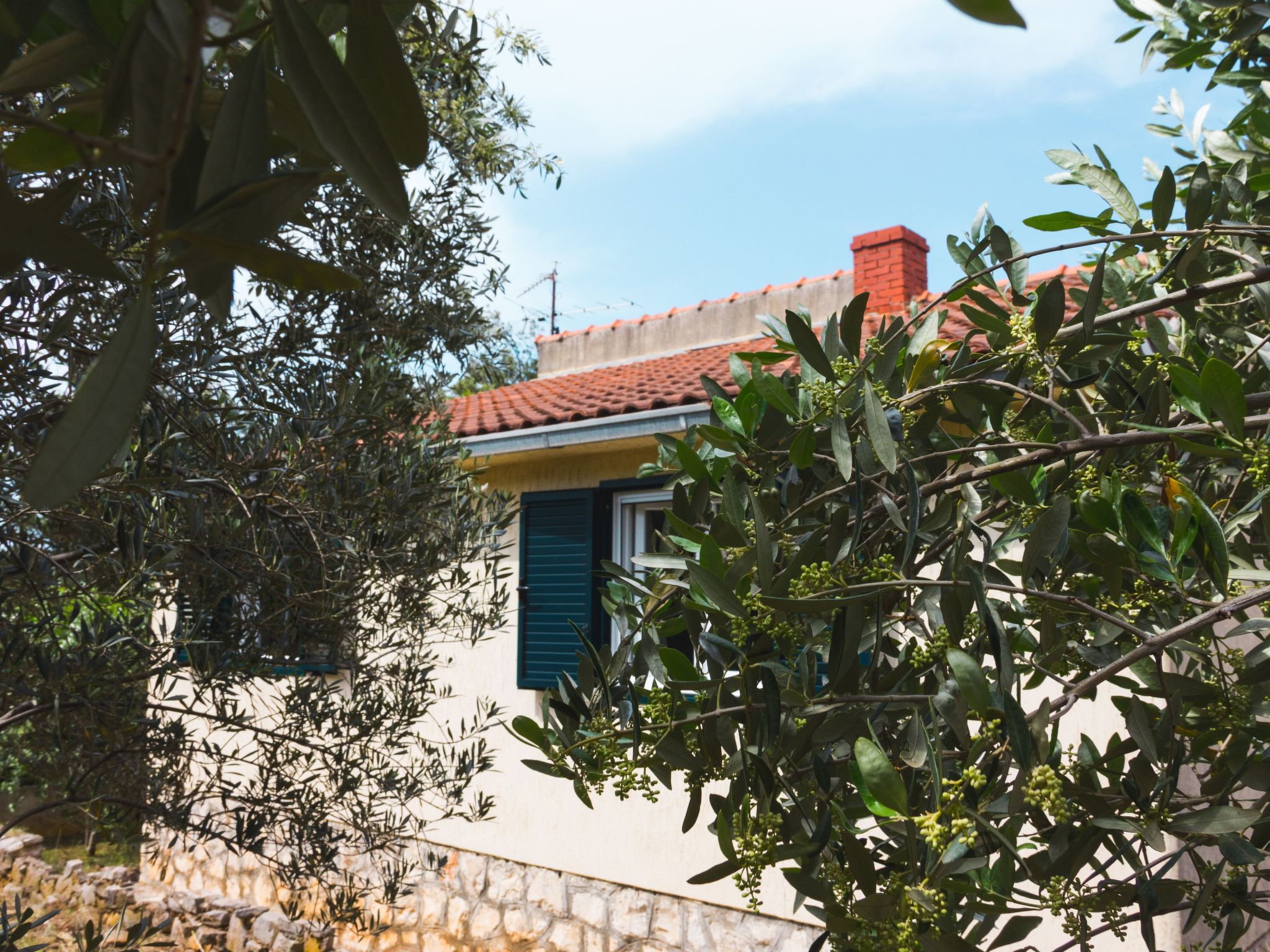 "Laurea" direkt am Strand-Image-tags.info