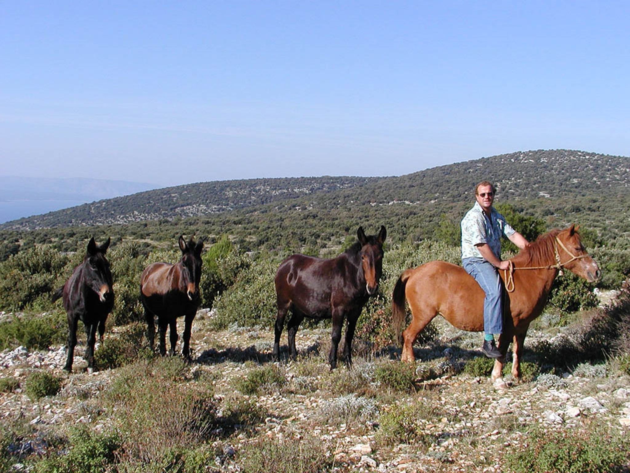 Steinhaus Glicinija mit Pool-Dedans