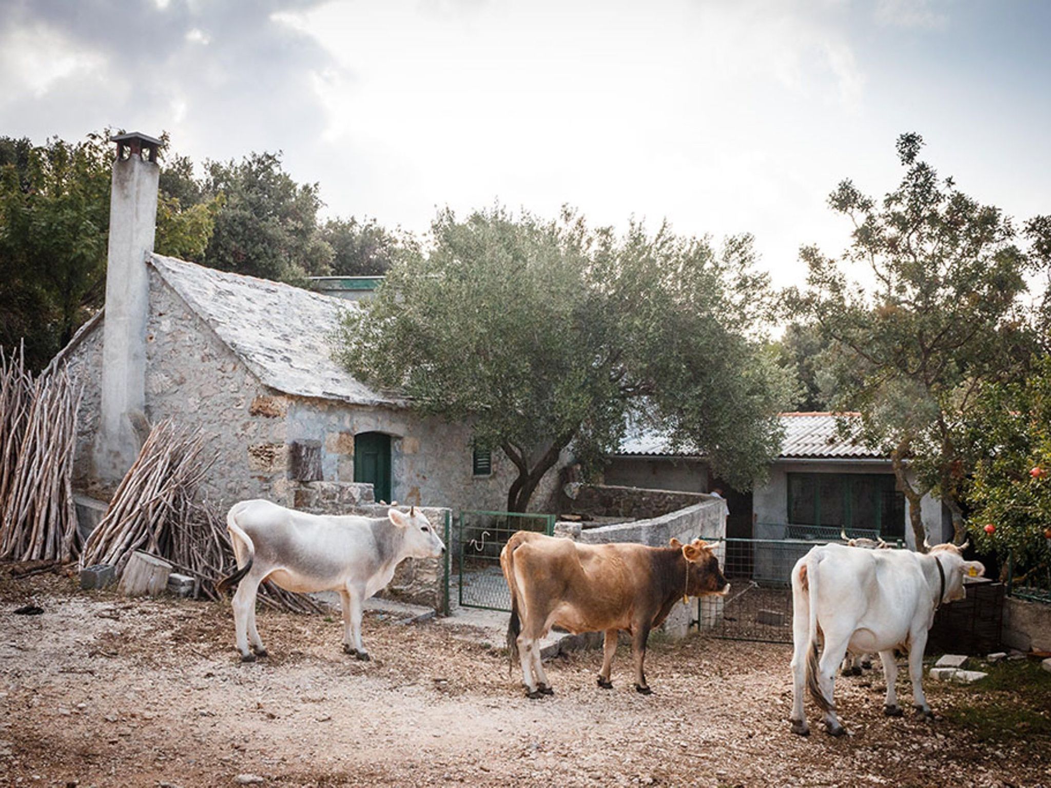 Steinhaus Glicinija mit Pool