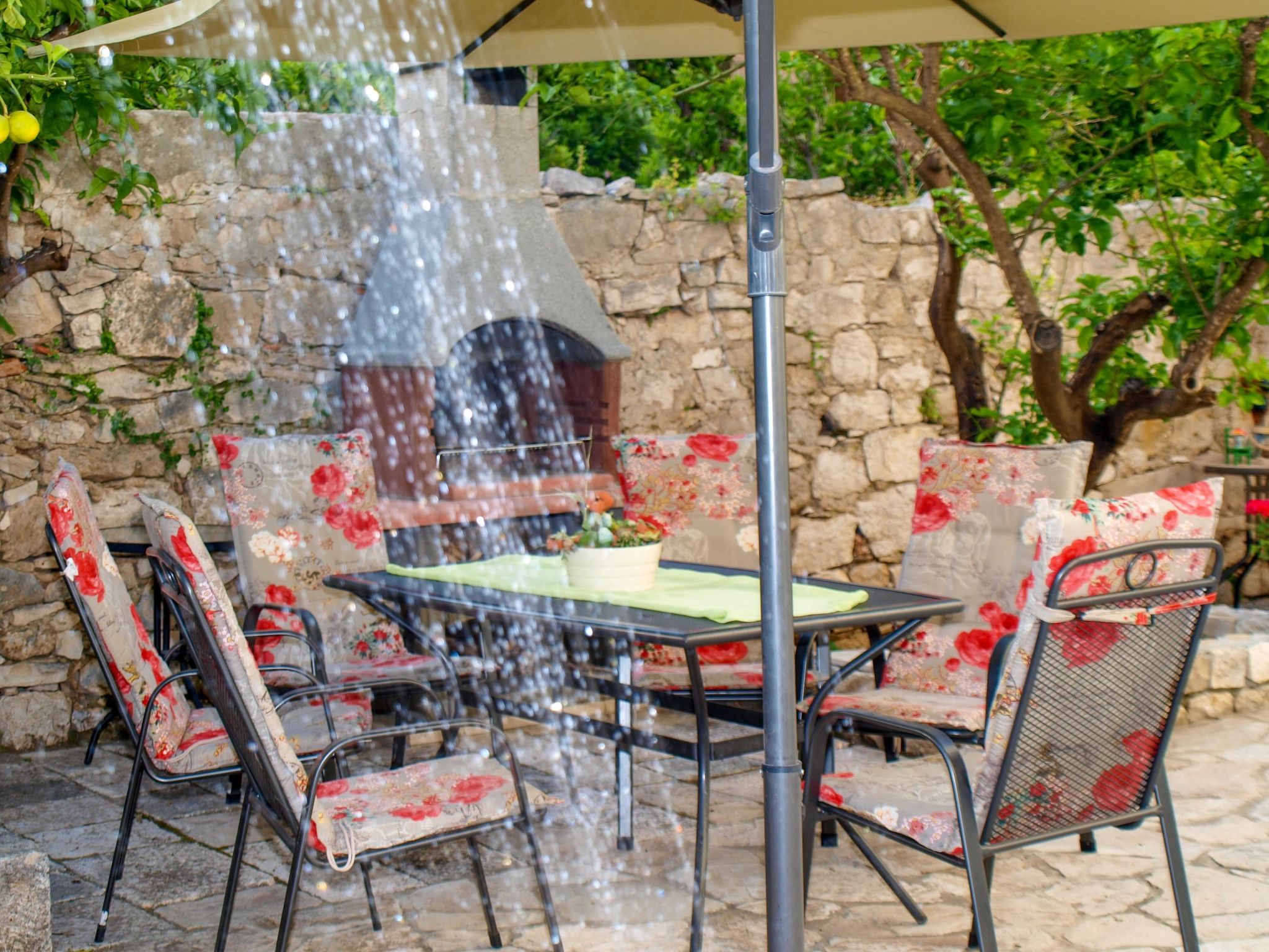 Photo of Wohnung „Zitronenbaum Postira“