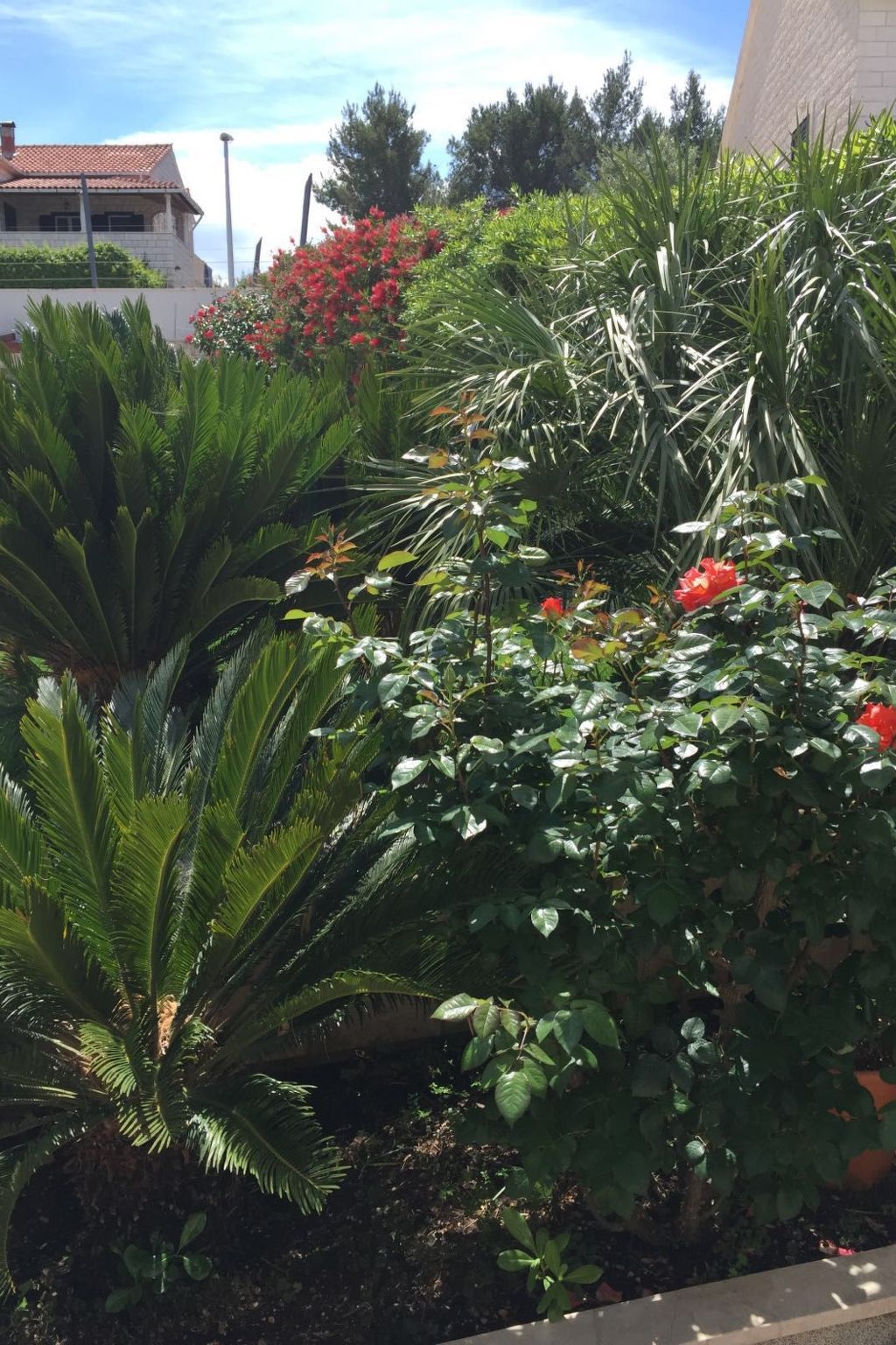 Geräumige Ferienwohnung mit privatem Sonnenbalkon-Dedans