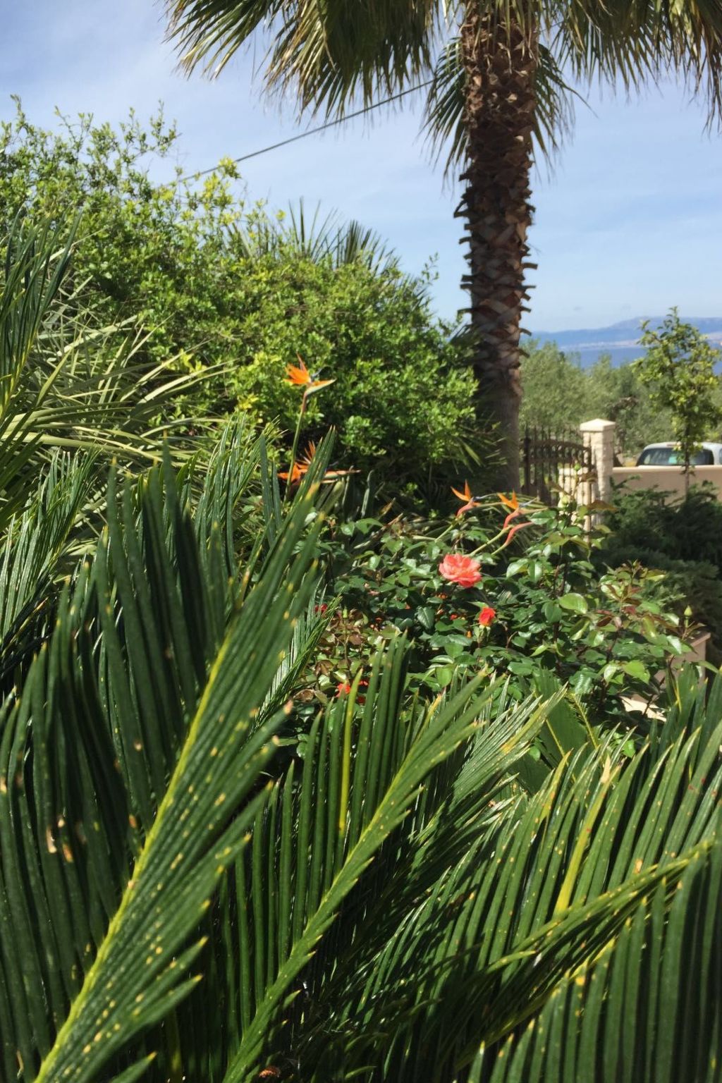 Geräumige Ferienwohnung mit privatem Sonnenbalkon-Dedans