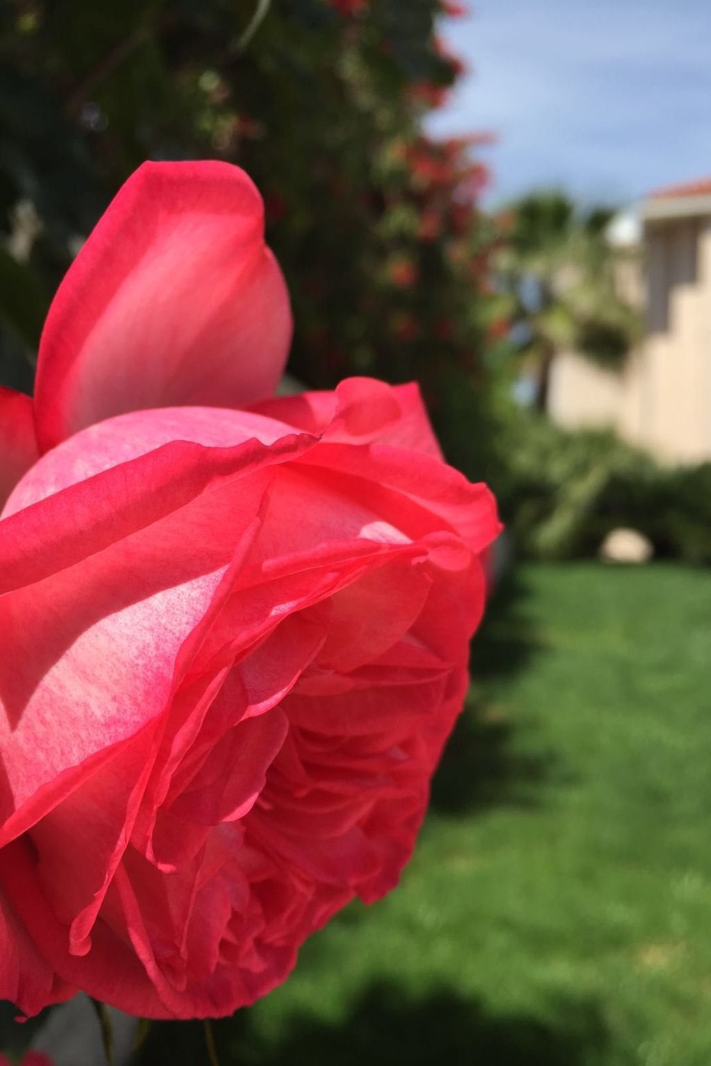 Geräumige Ferienwohnung mit privatem Sonnenbalkon-Dedans