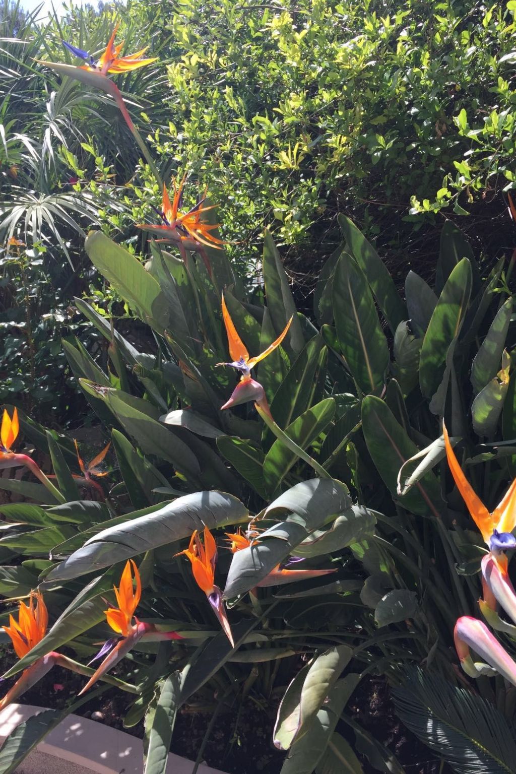 Geräumige Ferienwohnung mit privatem Sonnenbalkon-Dedans