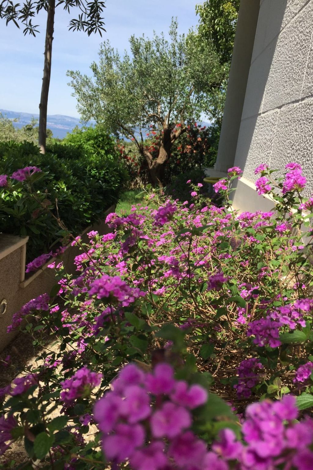 Geräumige Ferienwohnung mit privatem Sonnenbalkon-Dedans