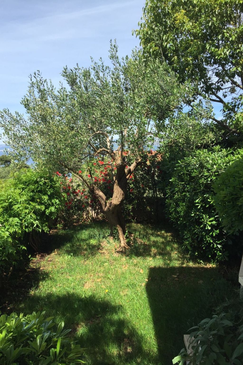 In der ersten Etage mit Meerblick-Dedans