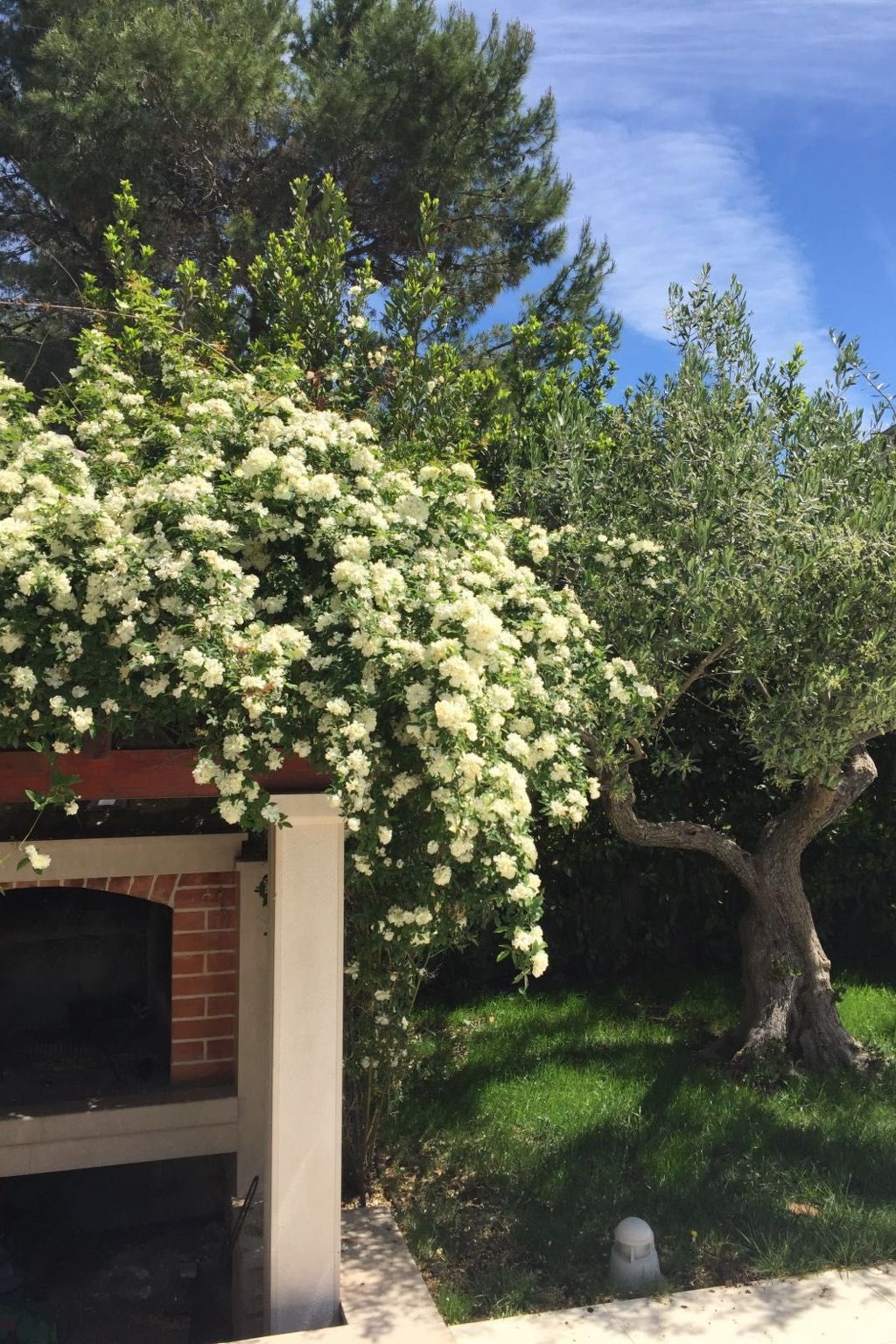 Luxuriöses Studio mit privater Terrasse-Dedans