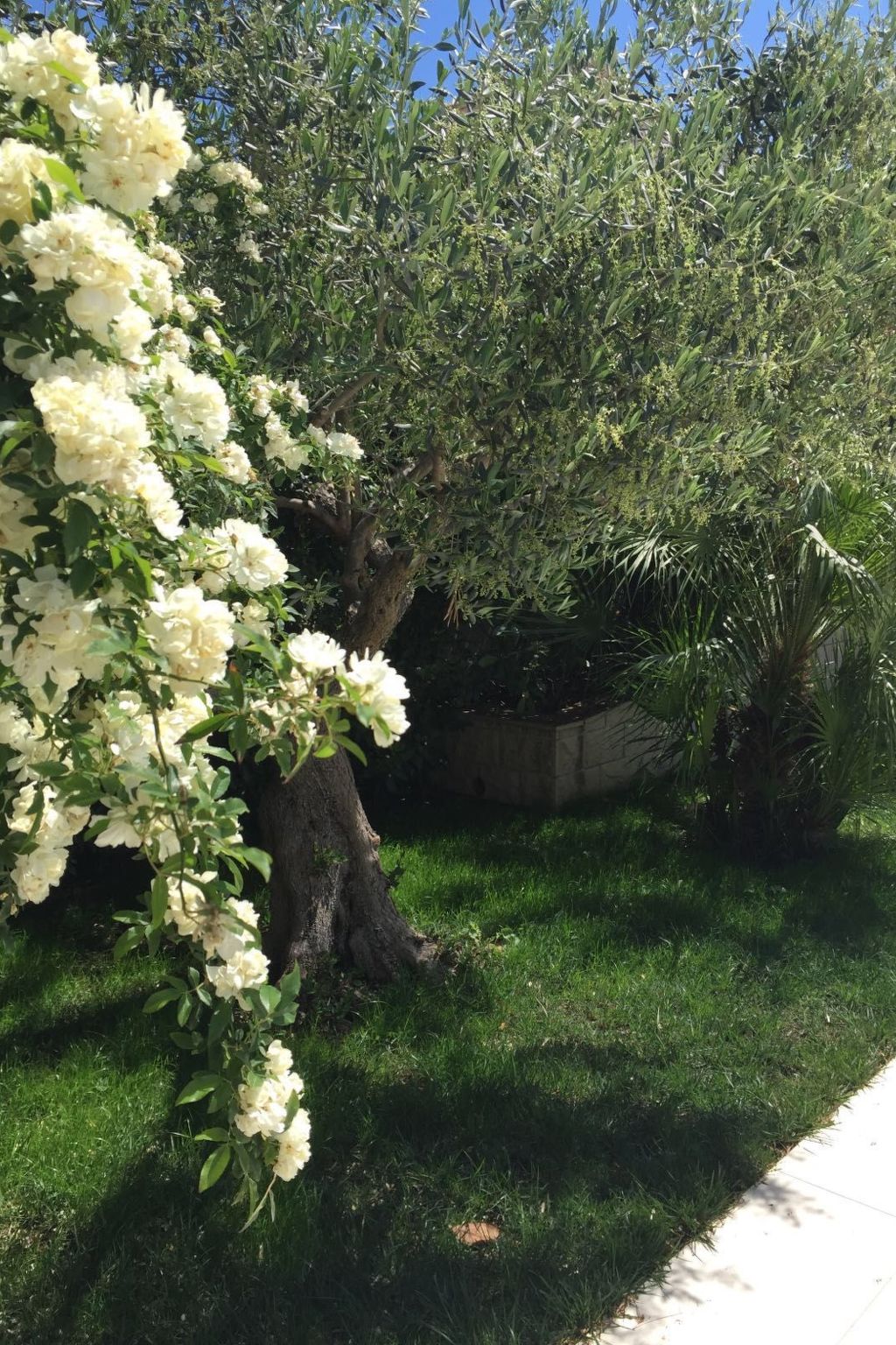 Geräumige Wohnung mit Meerblick vom Sonnenbalkon-Dedans