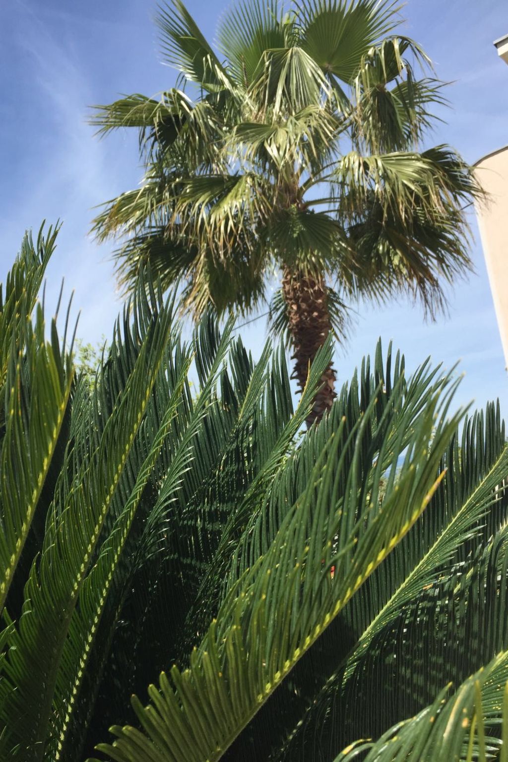 Geräumige Wohnung mit Meerblick vom Sonnenbalkon-Dedans