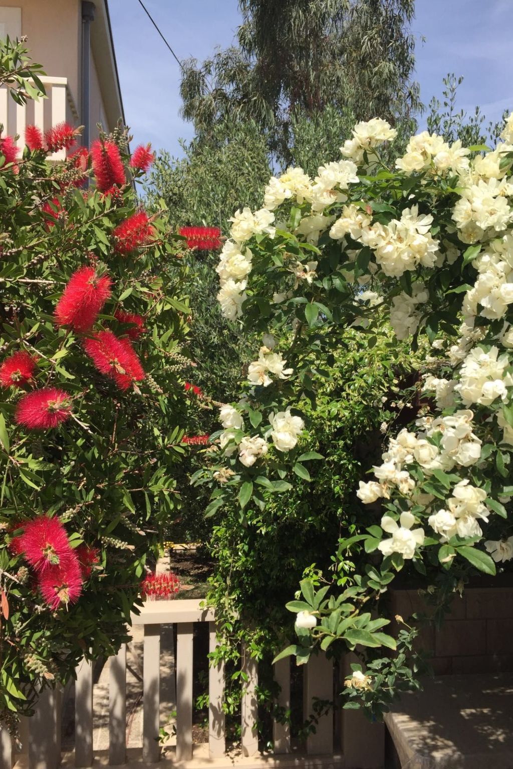 Geräumige Wohnung mit Meerblick vom Sonnenbalkon-Dedans