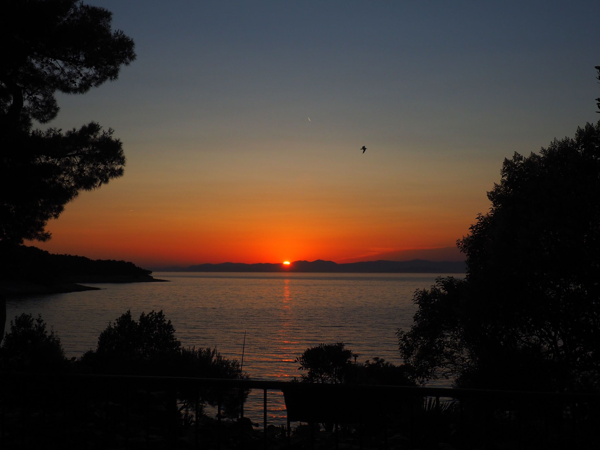 Photo of Strandnahe Ferienwohnung mit großer Terrasse