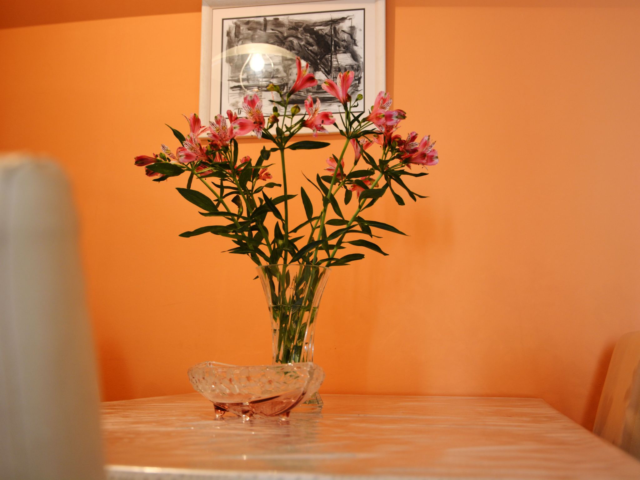 "Mladinic A1" mit Terrasse-Image-tags.info