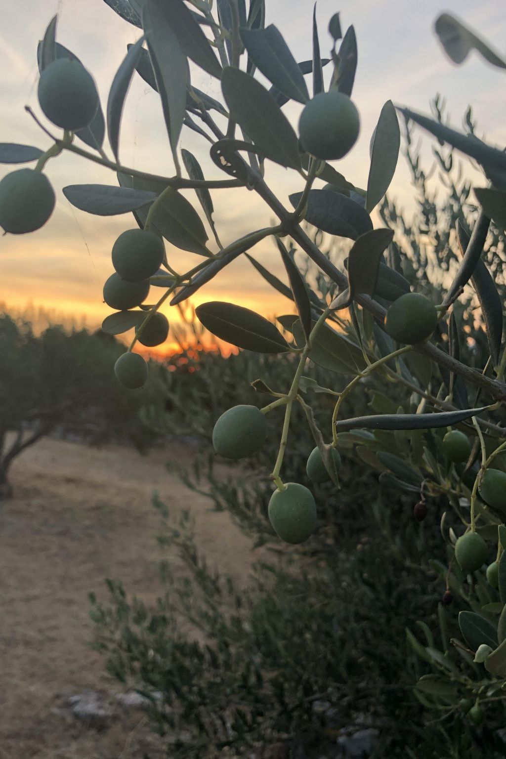 In Pučišća mit Privatem Pool-Image-tags.info