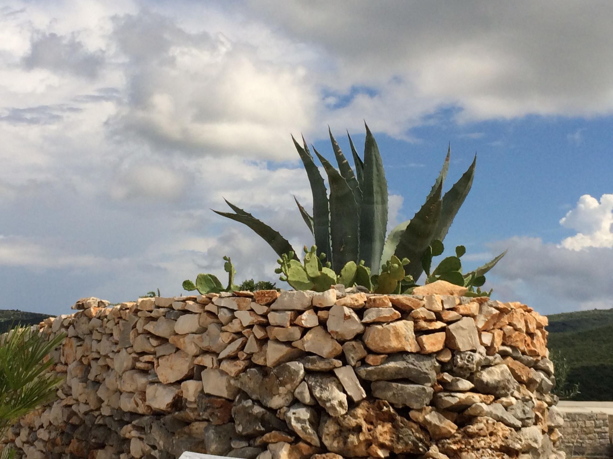 Mit Terrasse und Pool in herrlicher Naturlandschaft-Dehors