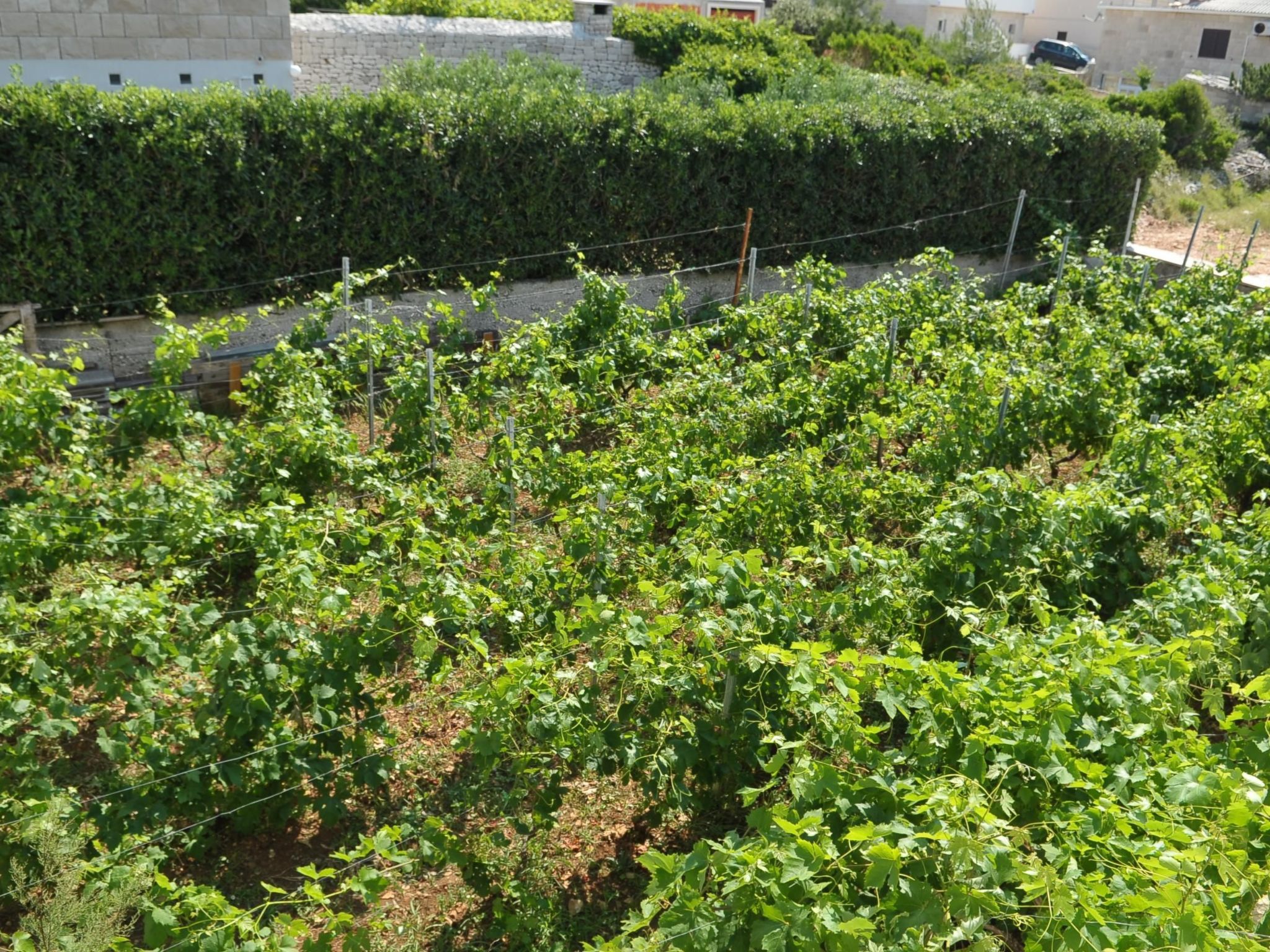 "Sofija" mit Whirlpool-Image-tags.info