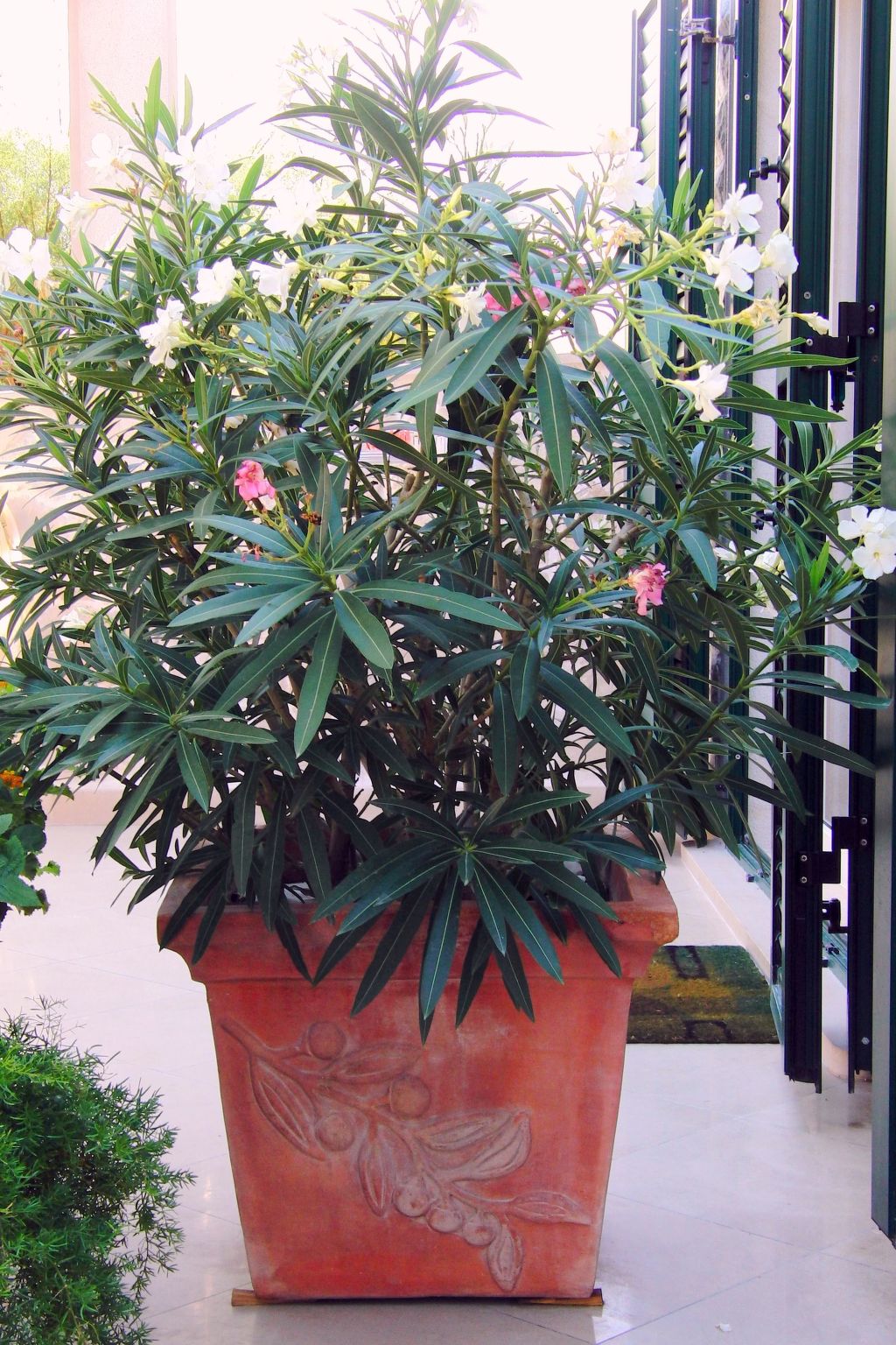 Apartments Villa Gracin-Dedans