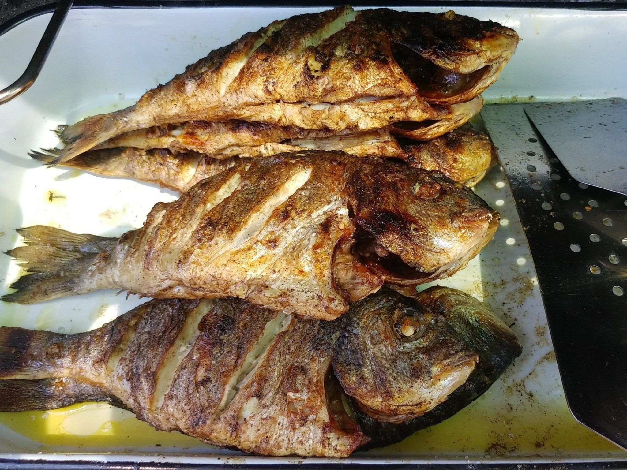 Apartments Villa Gracin-Dedans