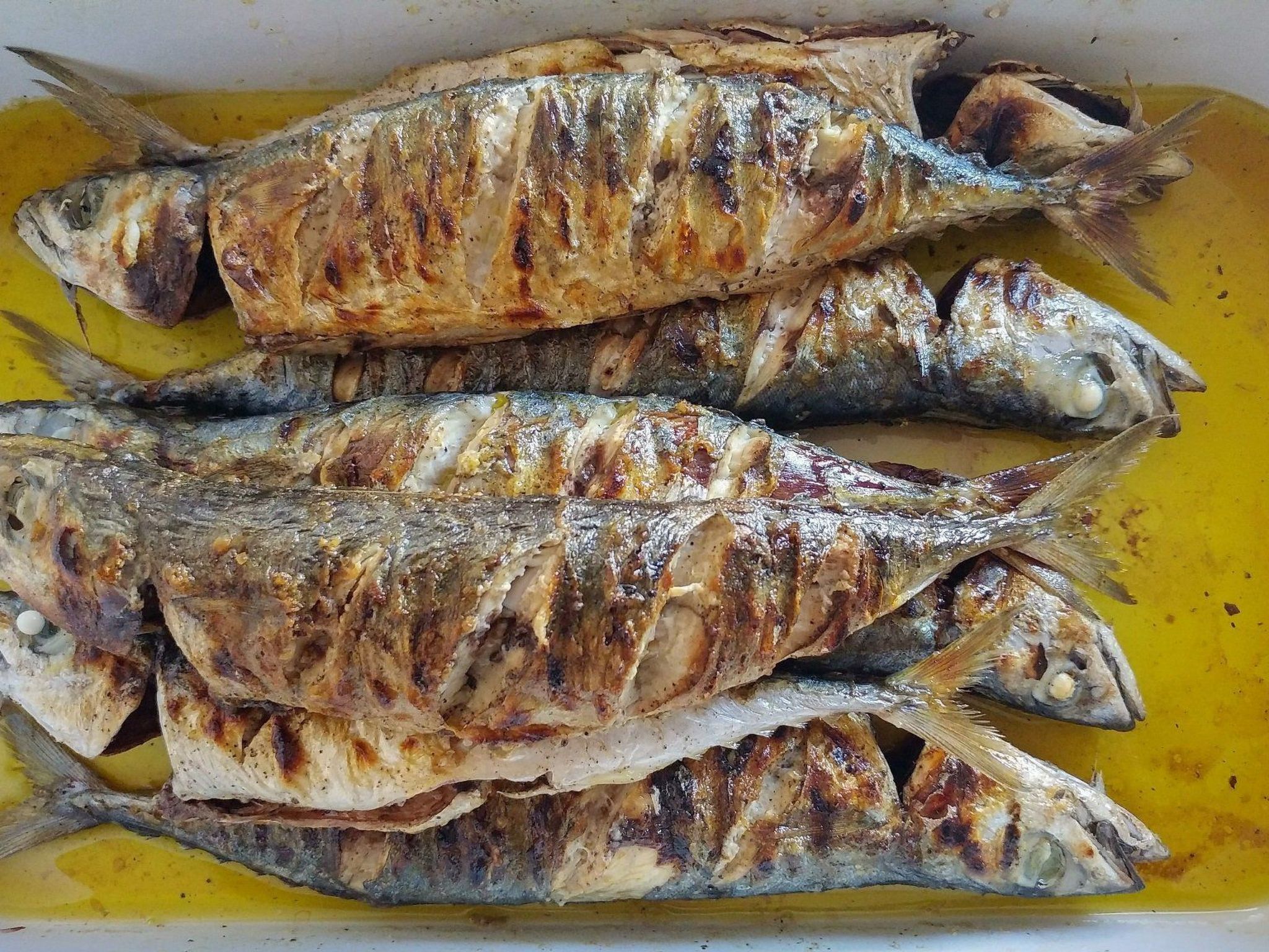 Apartments Villa Gracin-Dedans