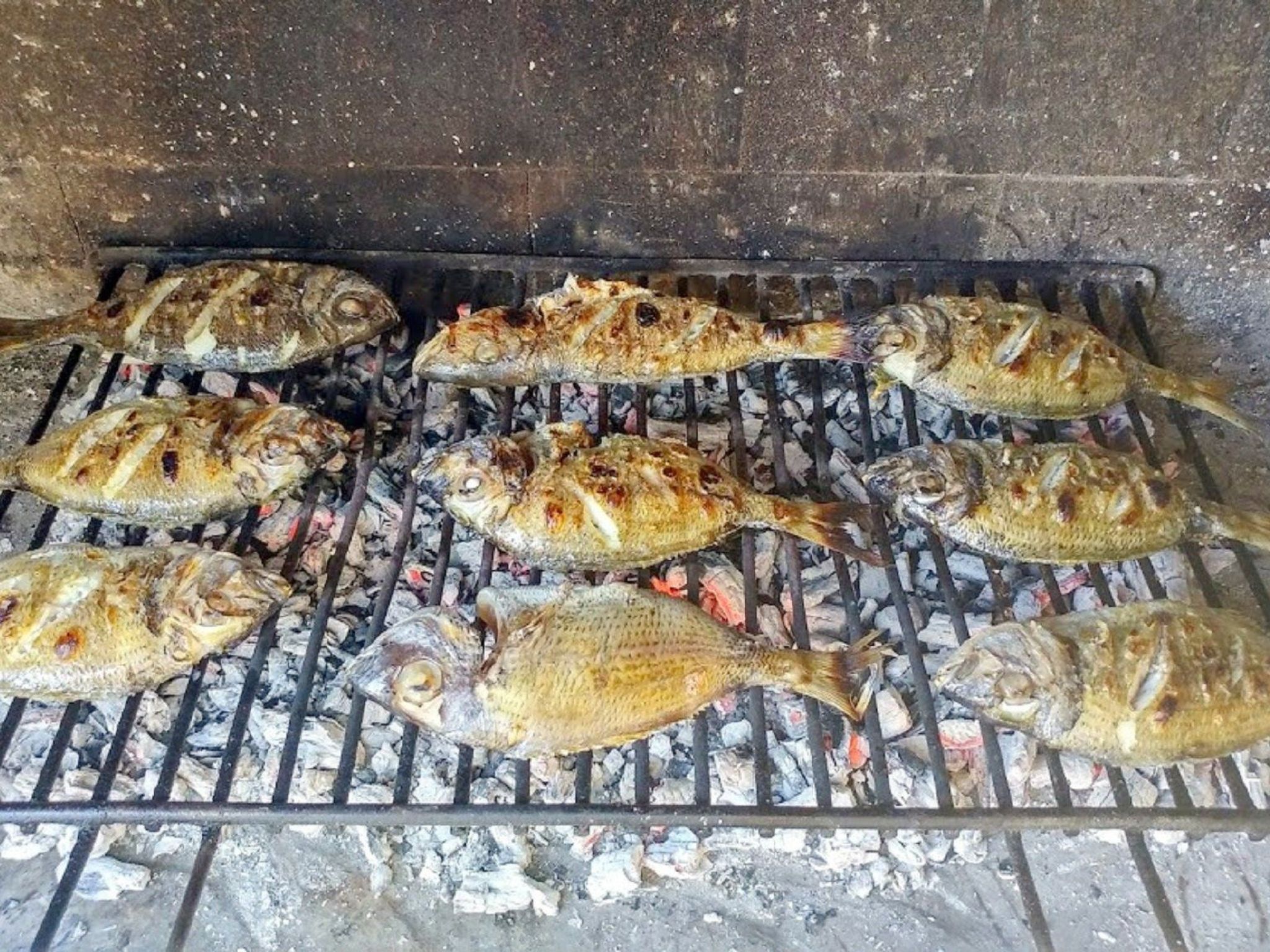 Apartments Villa Gracin-Dedans