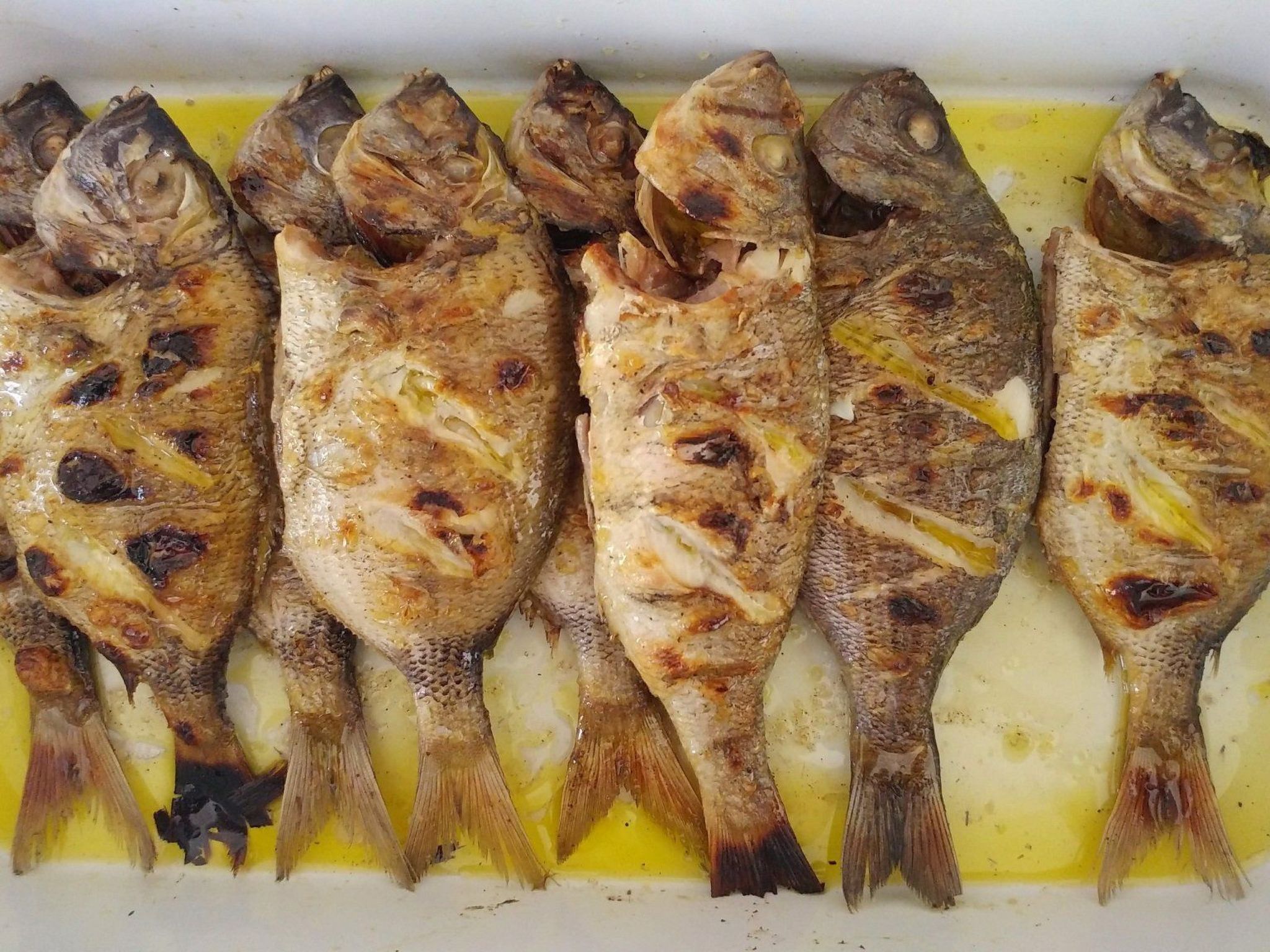 Apartments Villa Gracin-Dedans