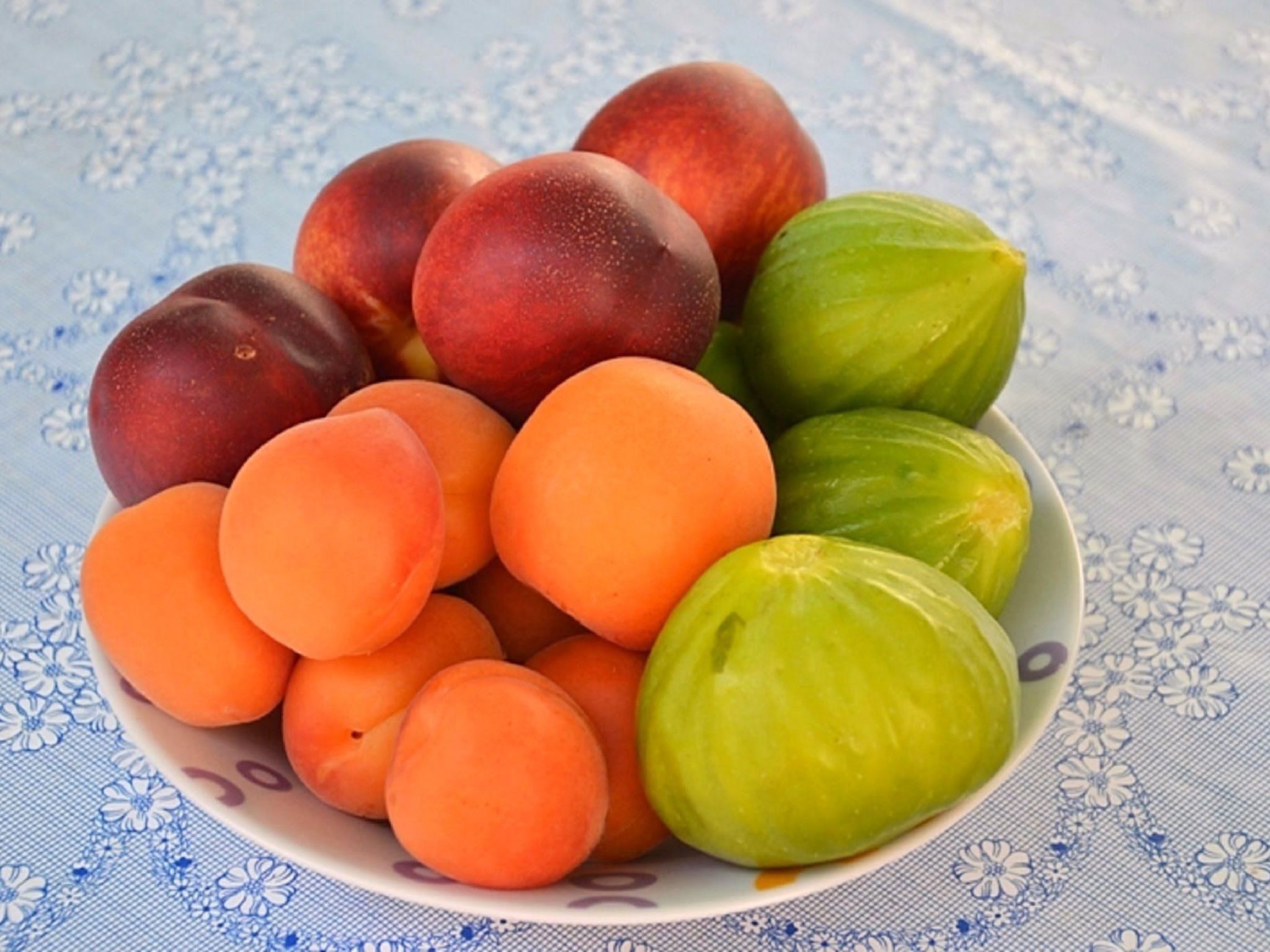 Apartments Villa Gracin-Dedans