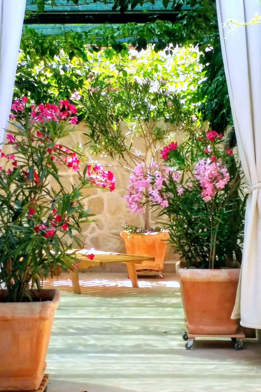 Apartments Villa Gracin-Dedans