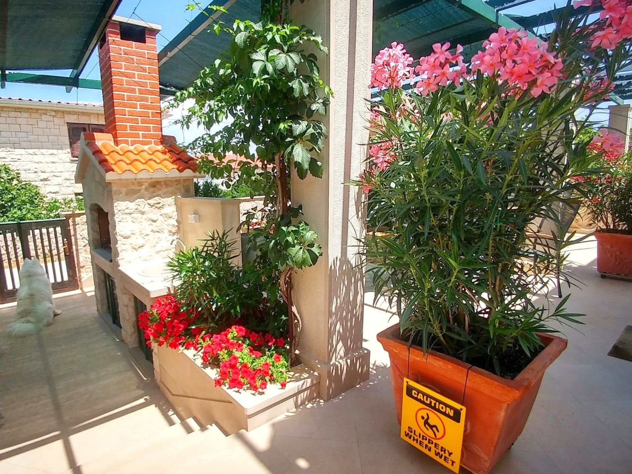 Apartments Villa Gracin-Dedans