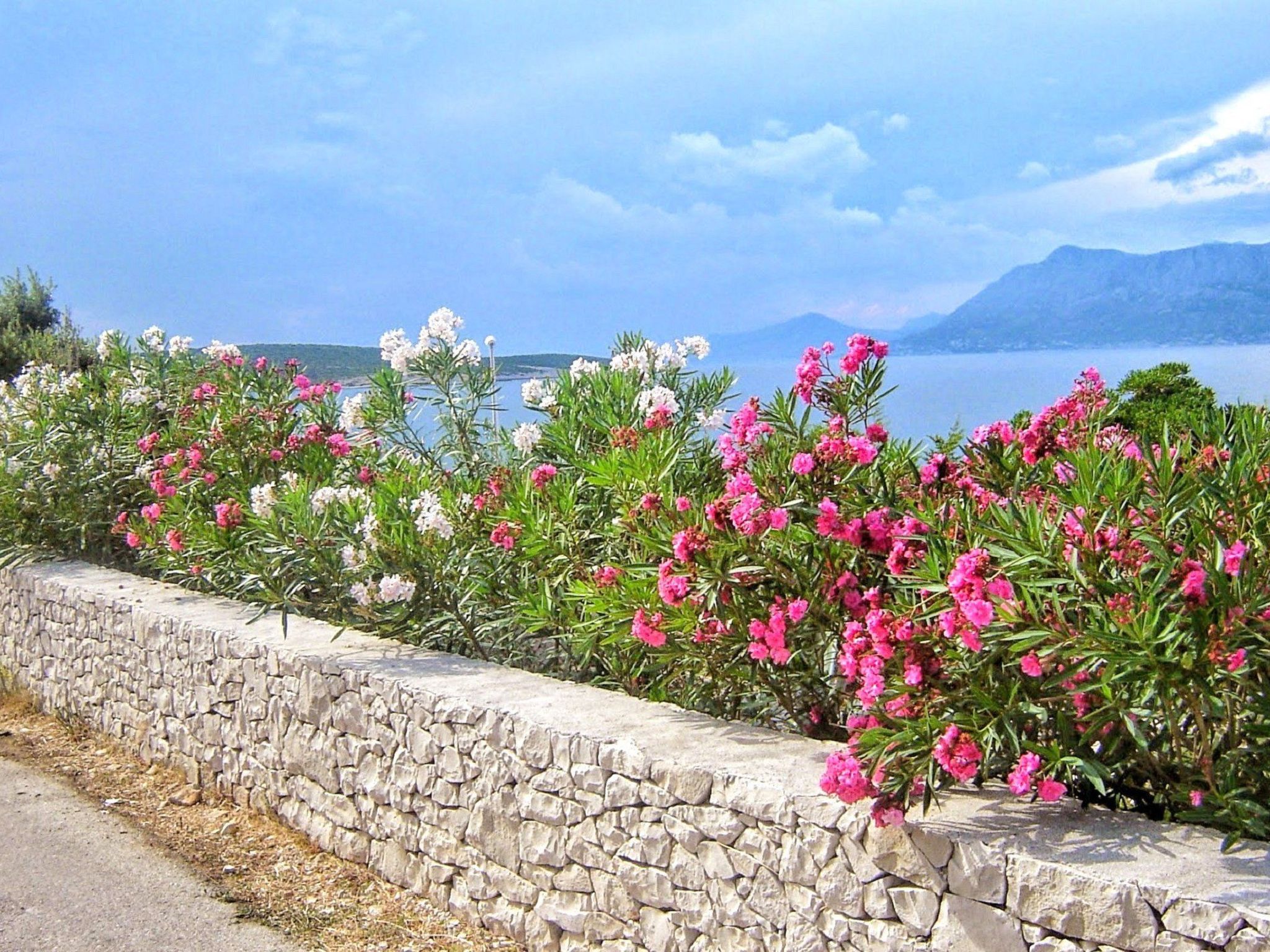 Apartments Villa Gracin-Dedans