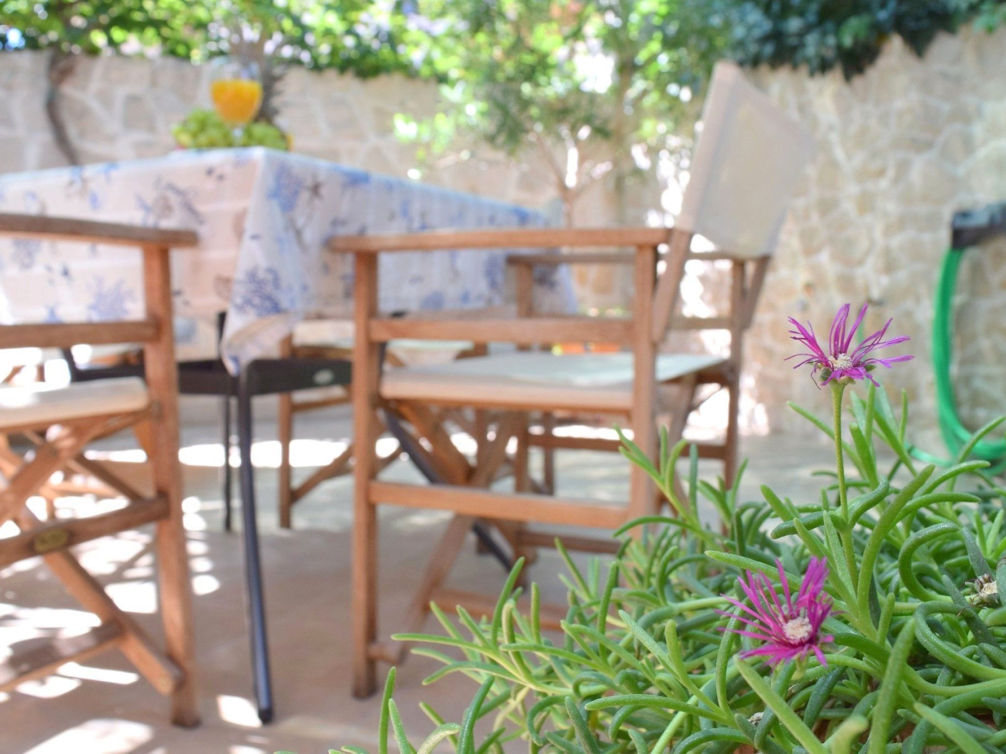 Apartments Villa Gracin-Dedans