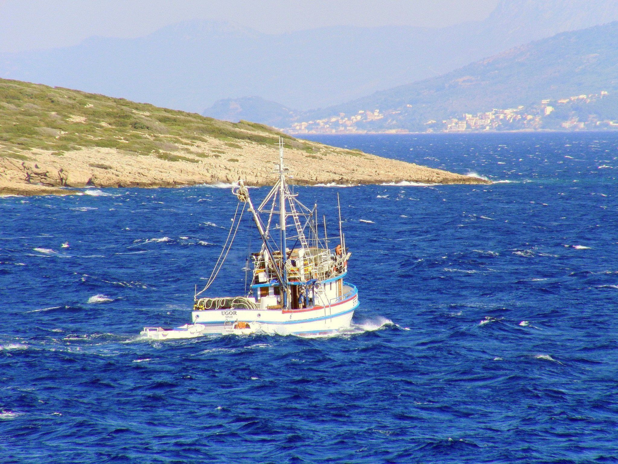 Apartments Villa Gracin-Dedans