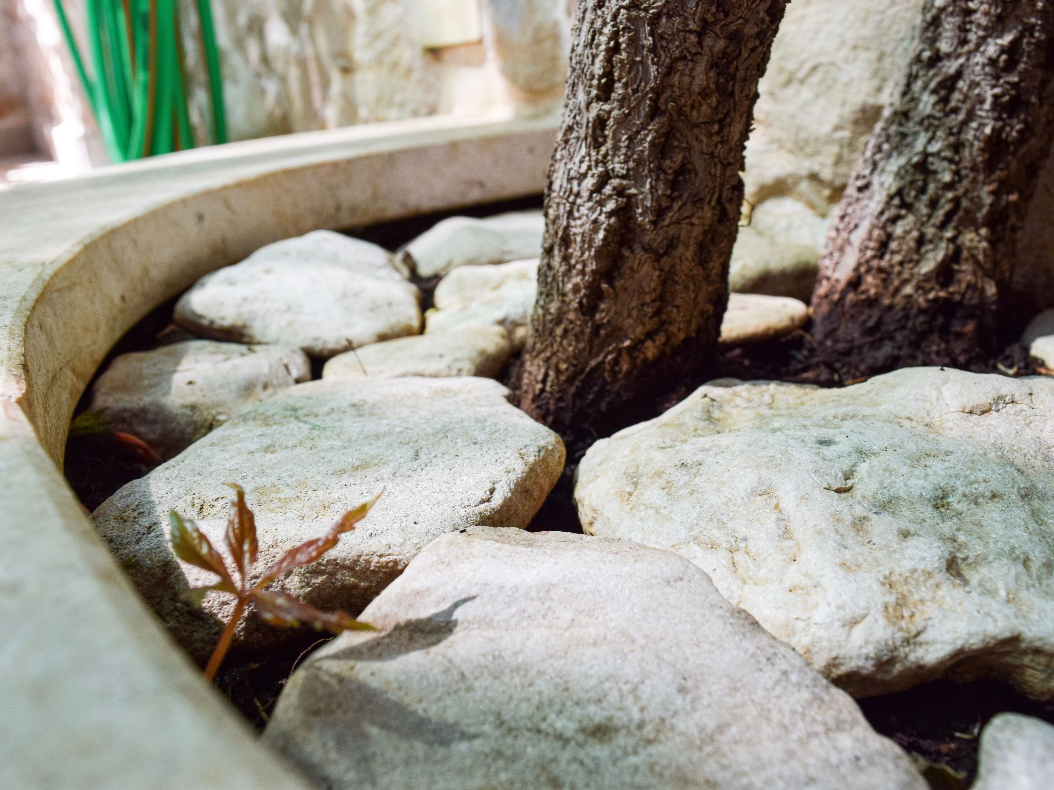 Apartments Villa Gracin-Dedans