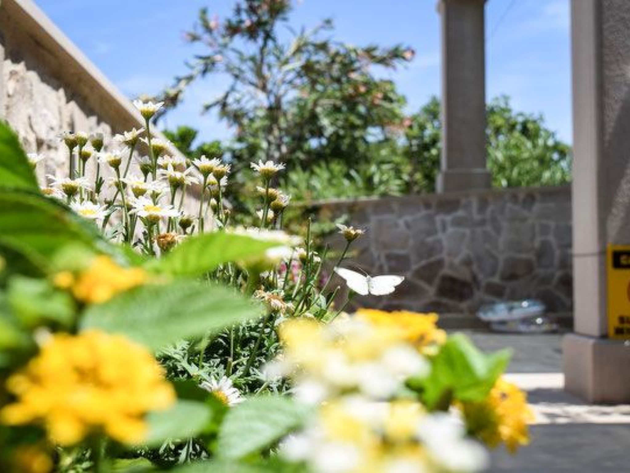 Apartments Villa Gracin-Dedans