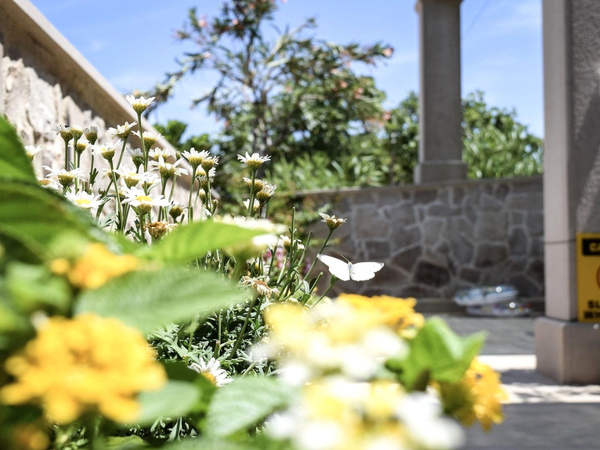 Apartments Villa Gracin-Dedans