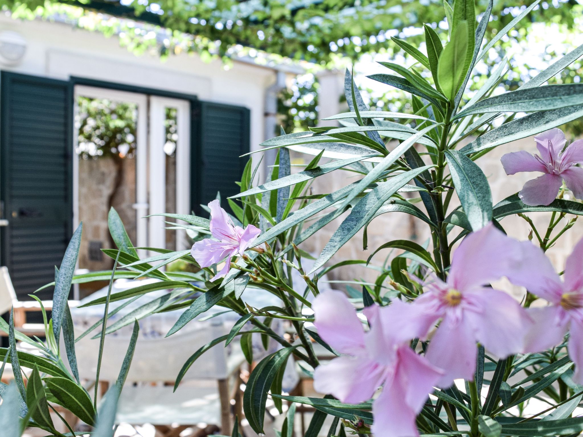 Apartments Villa Gracin-Dedans