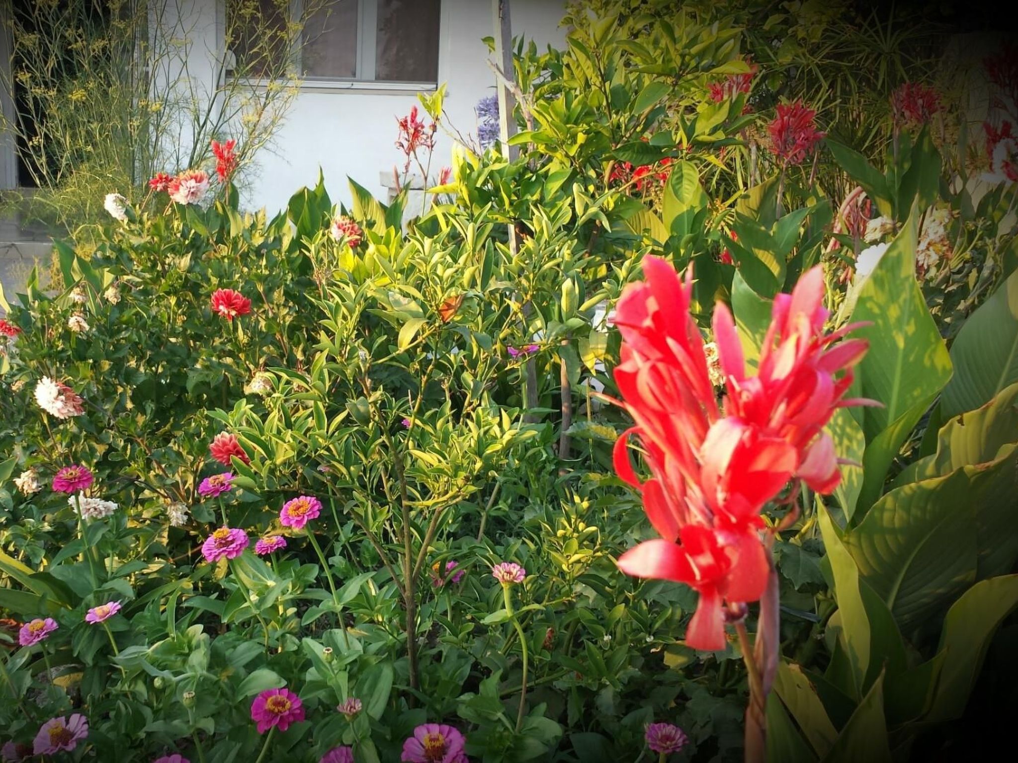 Unabhaengige Ferienwohnung in Sumartin mit Grill-Drinnen