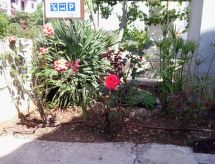Sfeervol appartement in Stari Grad, 200m van zee en centrum - thumbnail 6